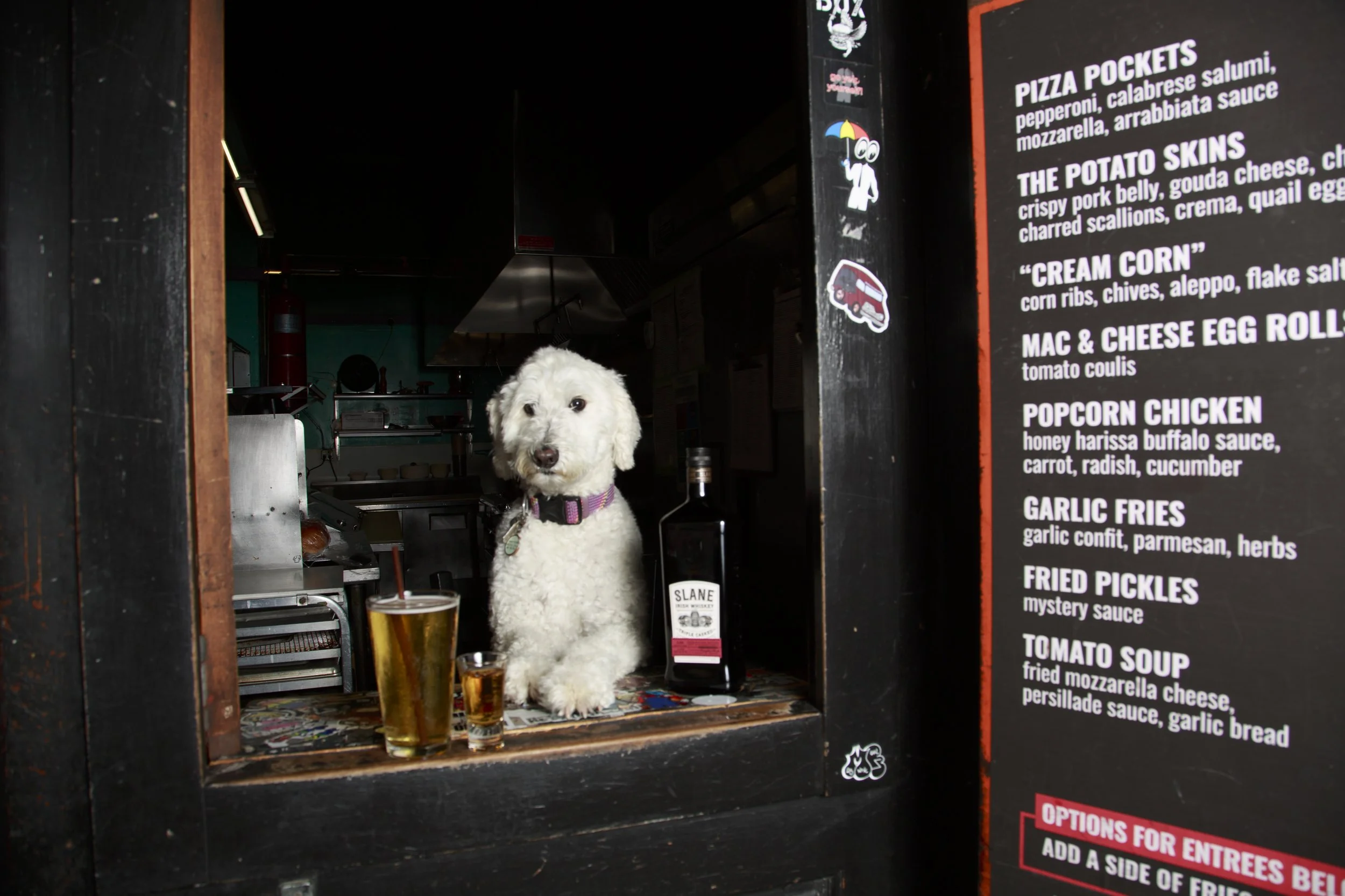 Dog Calendar_Joey_Echo-4172.jpg