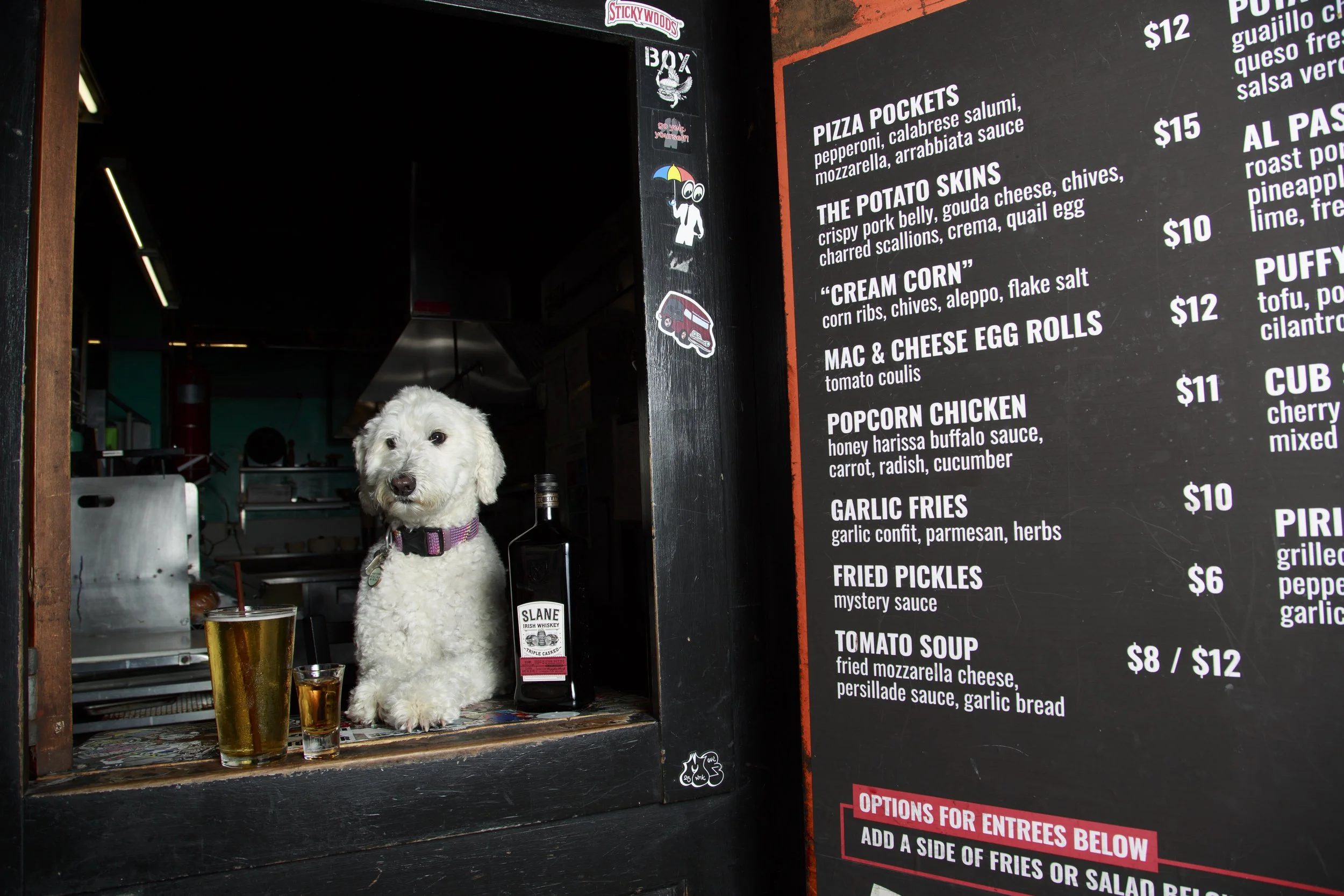 Dog Calendar_Joey_Echo-4173.jpg