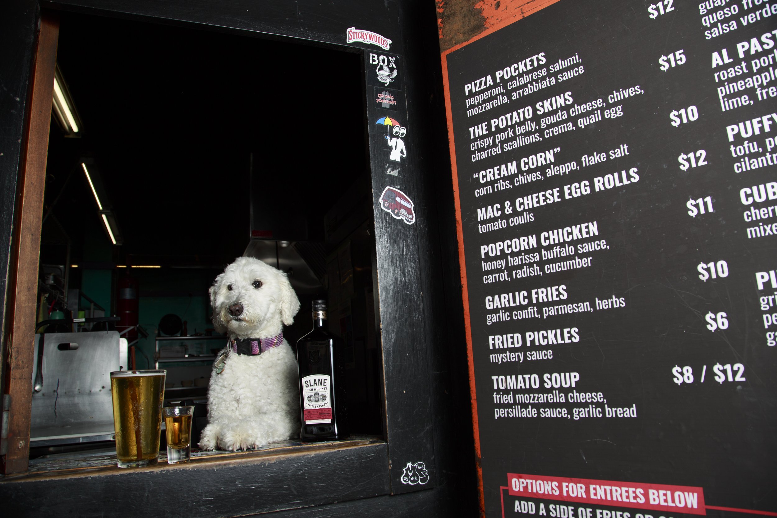 Dog Calendar_Joey_Echo-4174.jpg