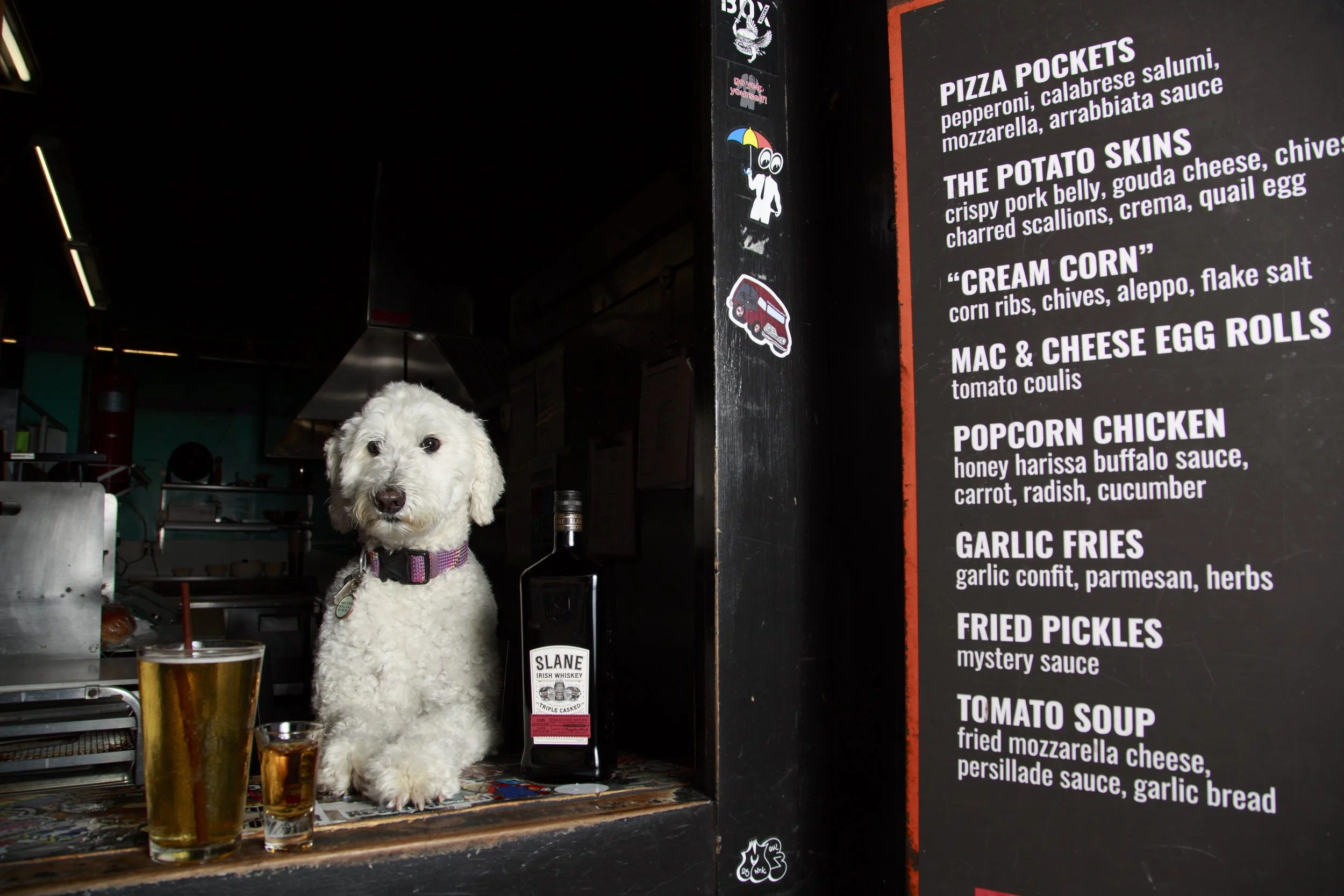 Dog Calendar_Joey_Echo-4175.jpg