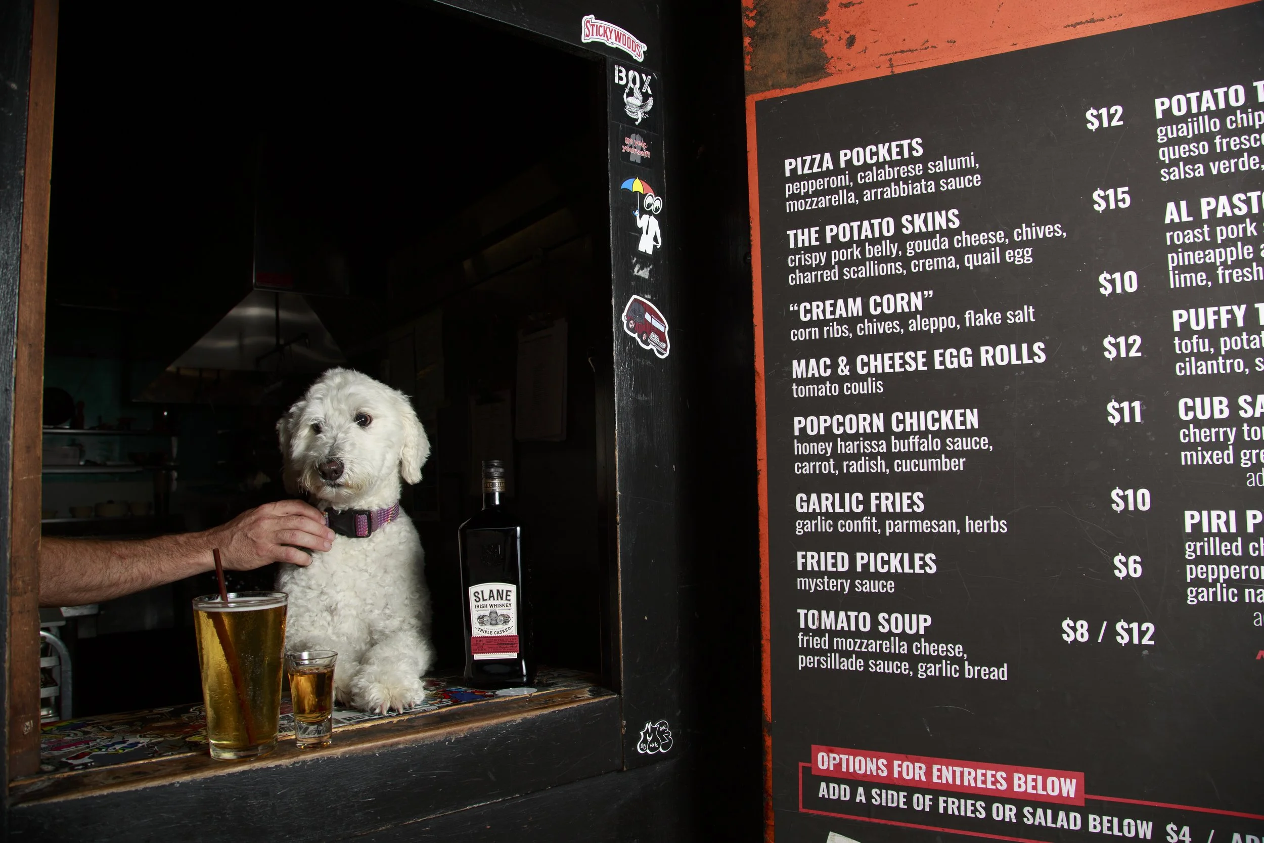 Dog Calendar_Joey_Echo-4176.jpg