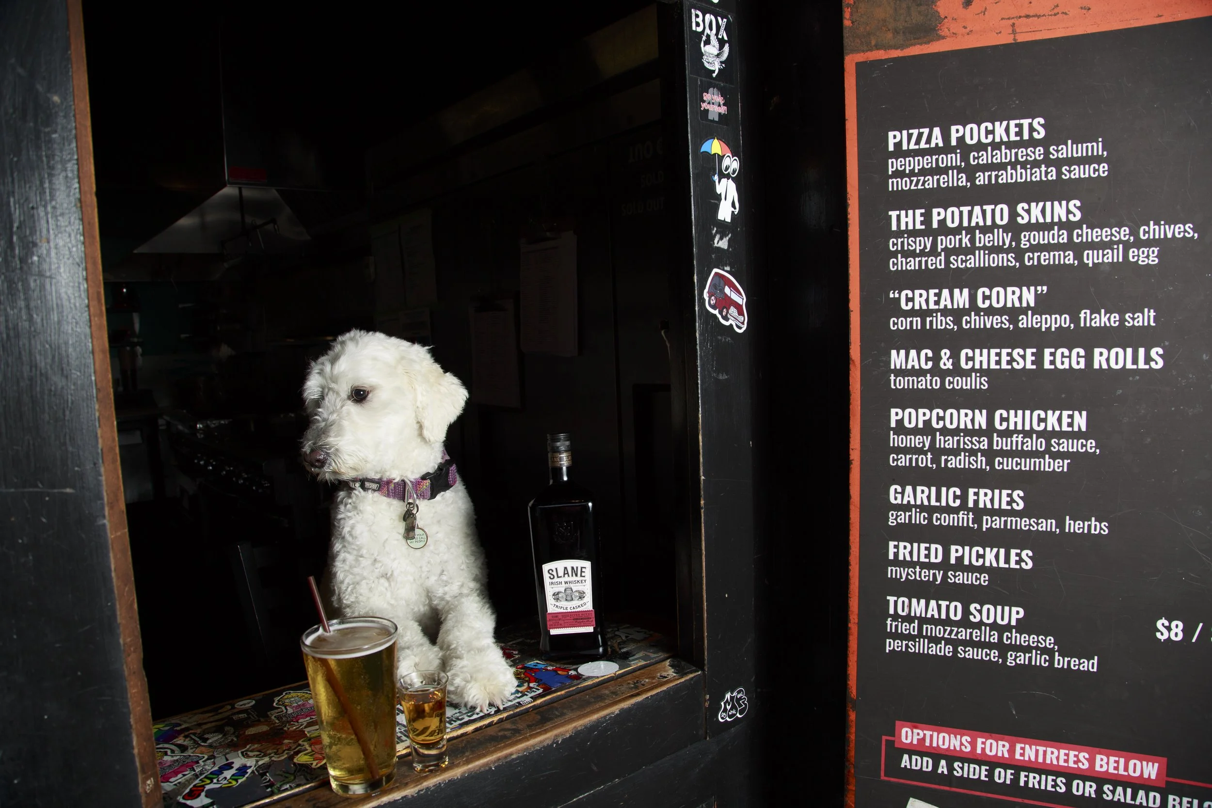 Dog Calendar_Joey_Echo-4178.jpg