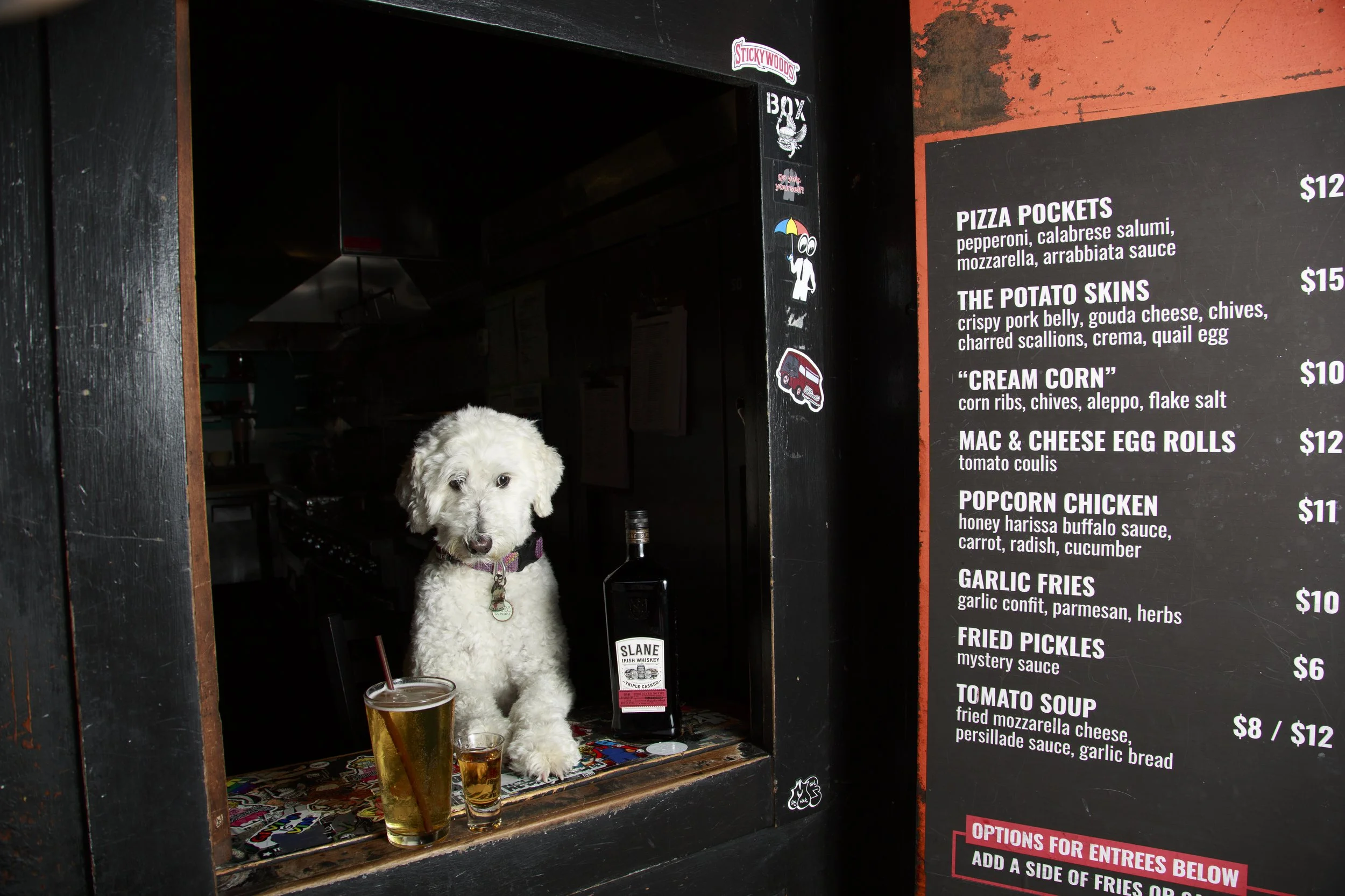 Dog Calendar_Joey_Echo-4181.jpg