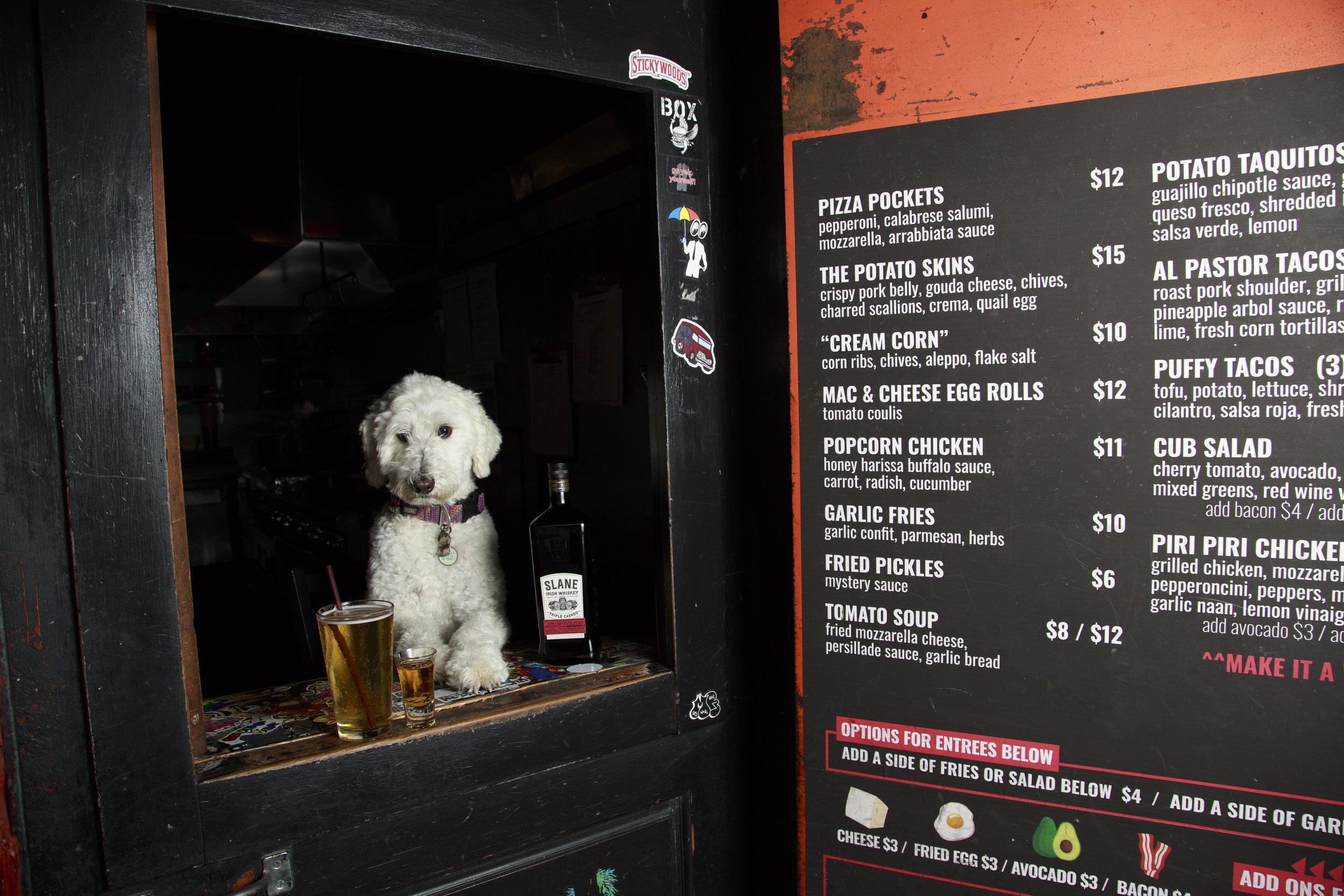 Dog Calendar_Joey_Echo-4183.jpg