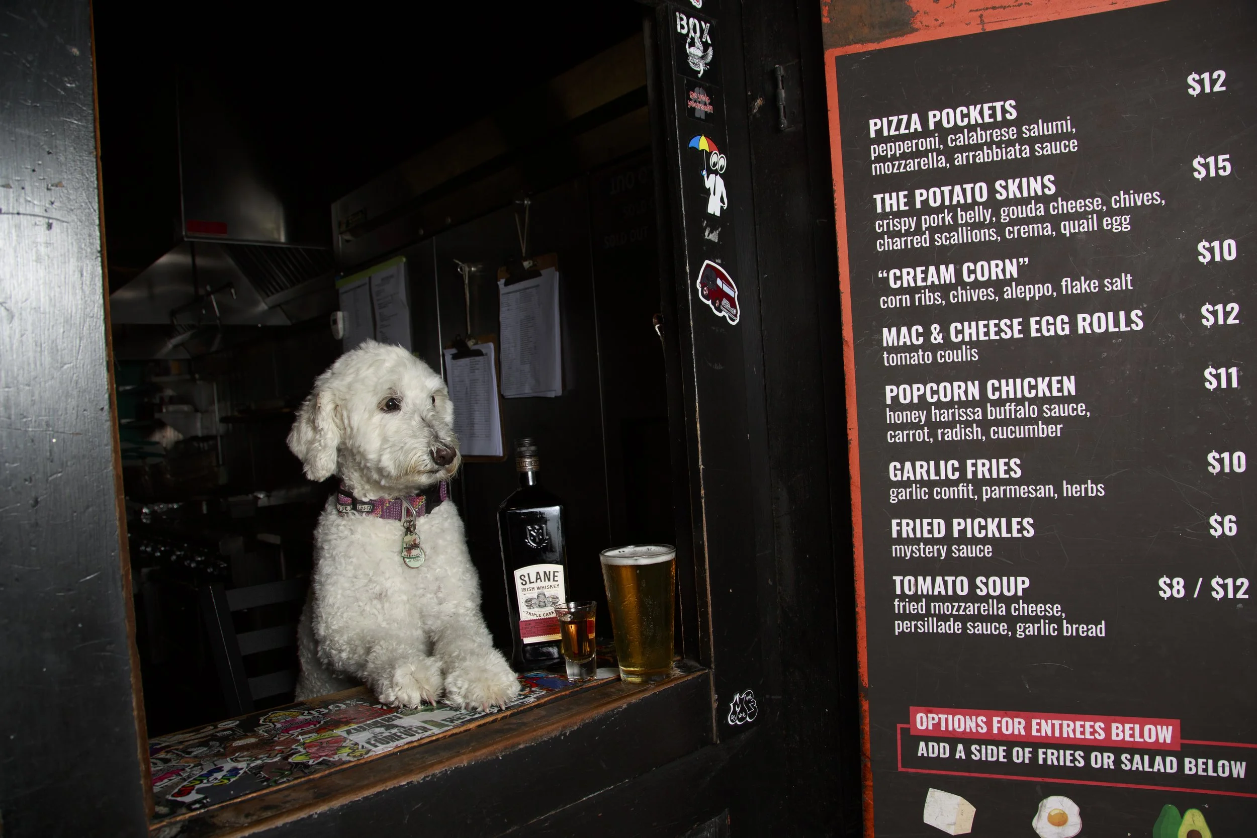 Dog Calendar_Joey_Echo-4186.jpg