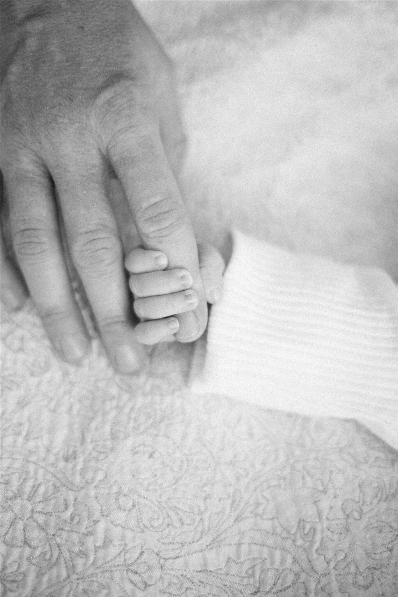 Newborn and Postpartum Essentials 