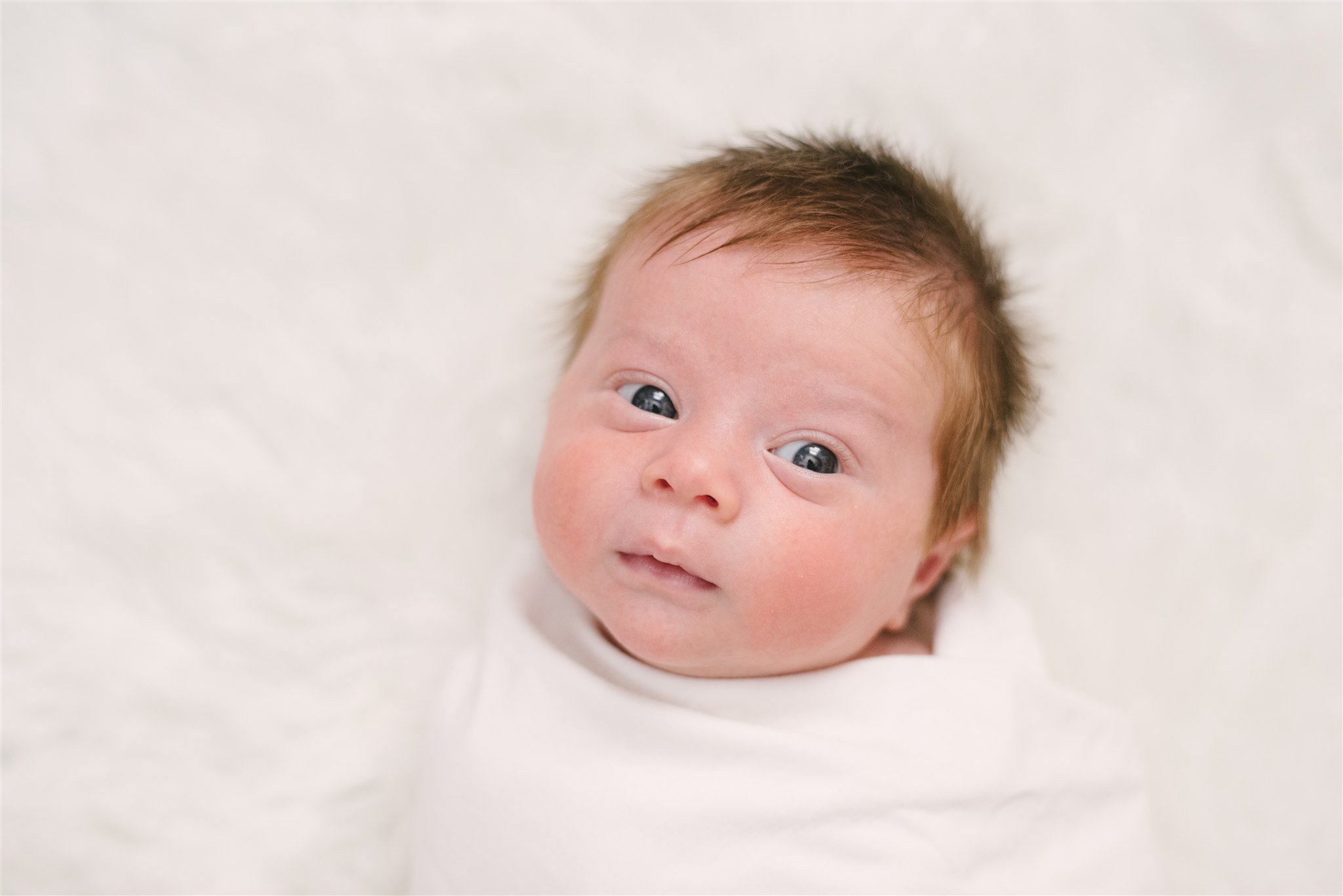Swaddled newborn looking at camera during newborn session