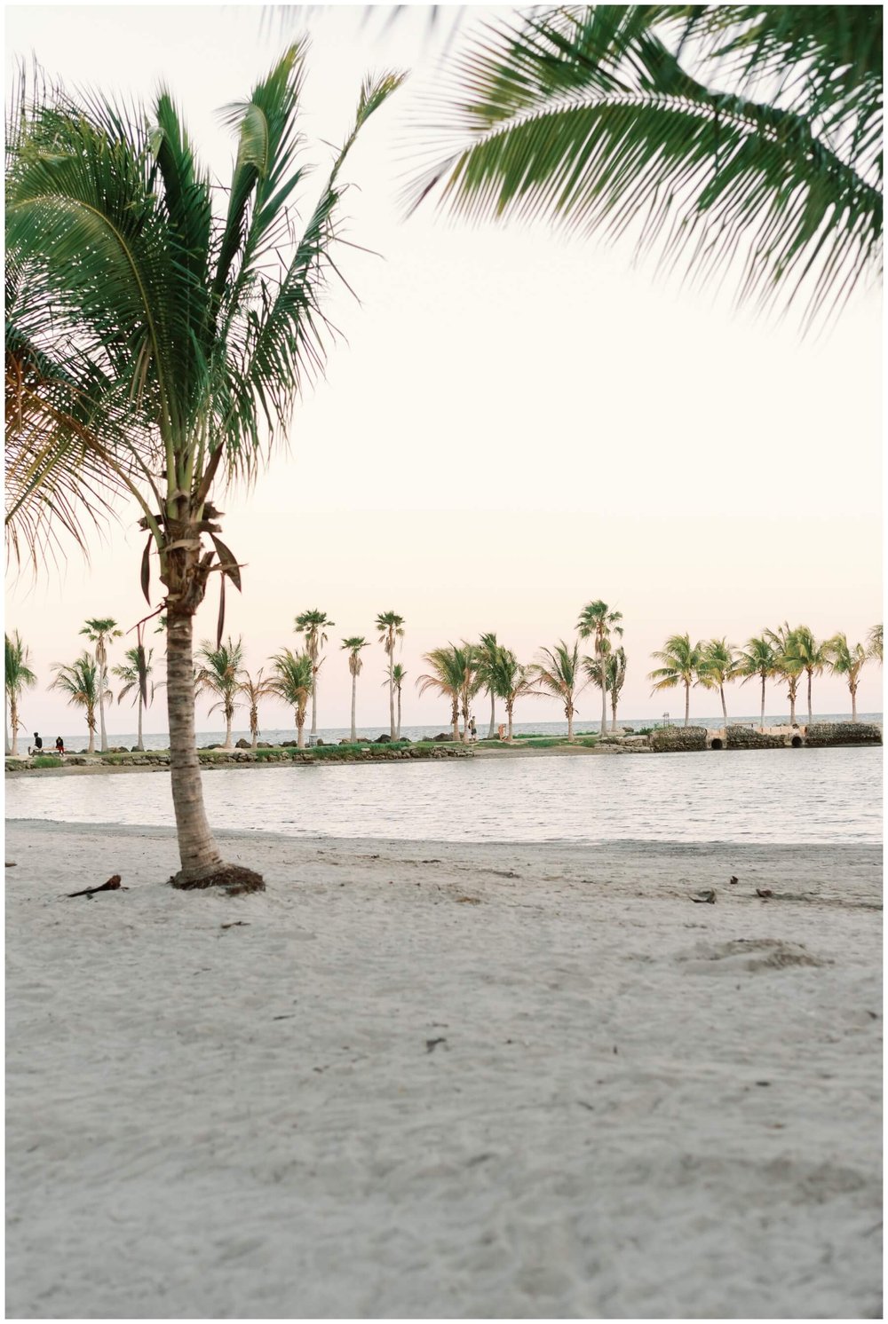 Beach at Matheson Hammock Park in post by maternity photographer in Miami