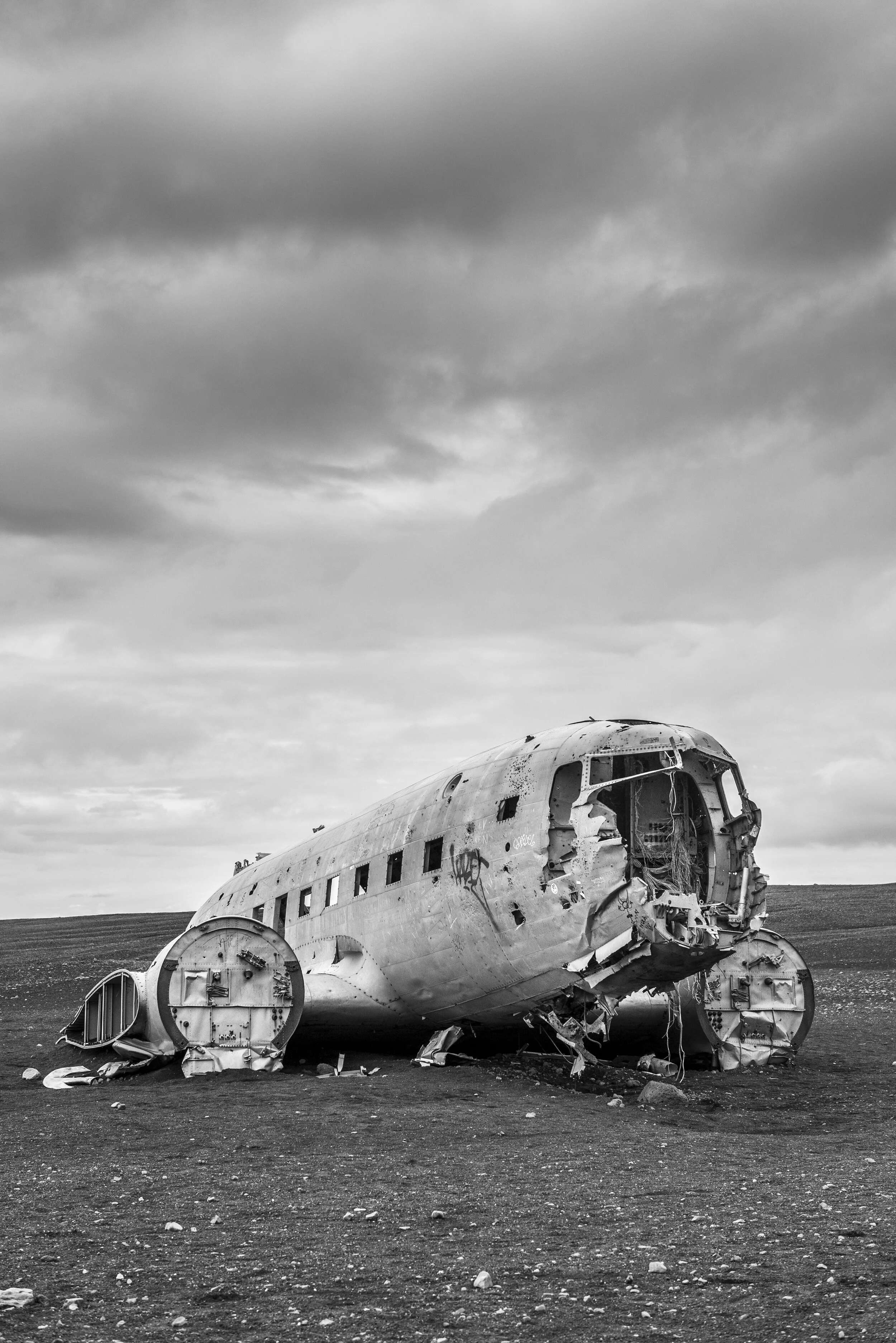 DSC_7880.jpg