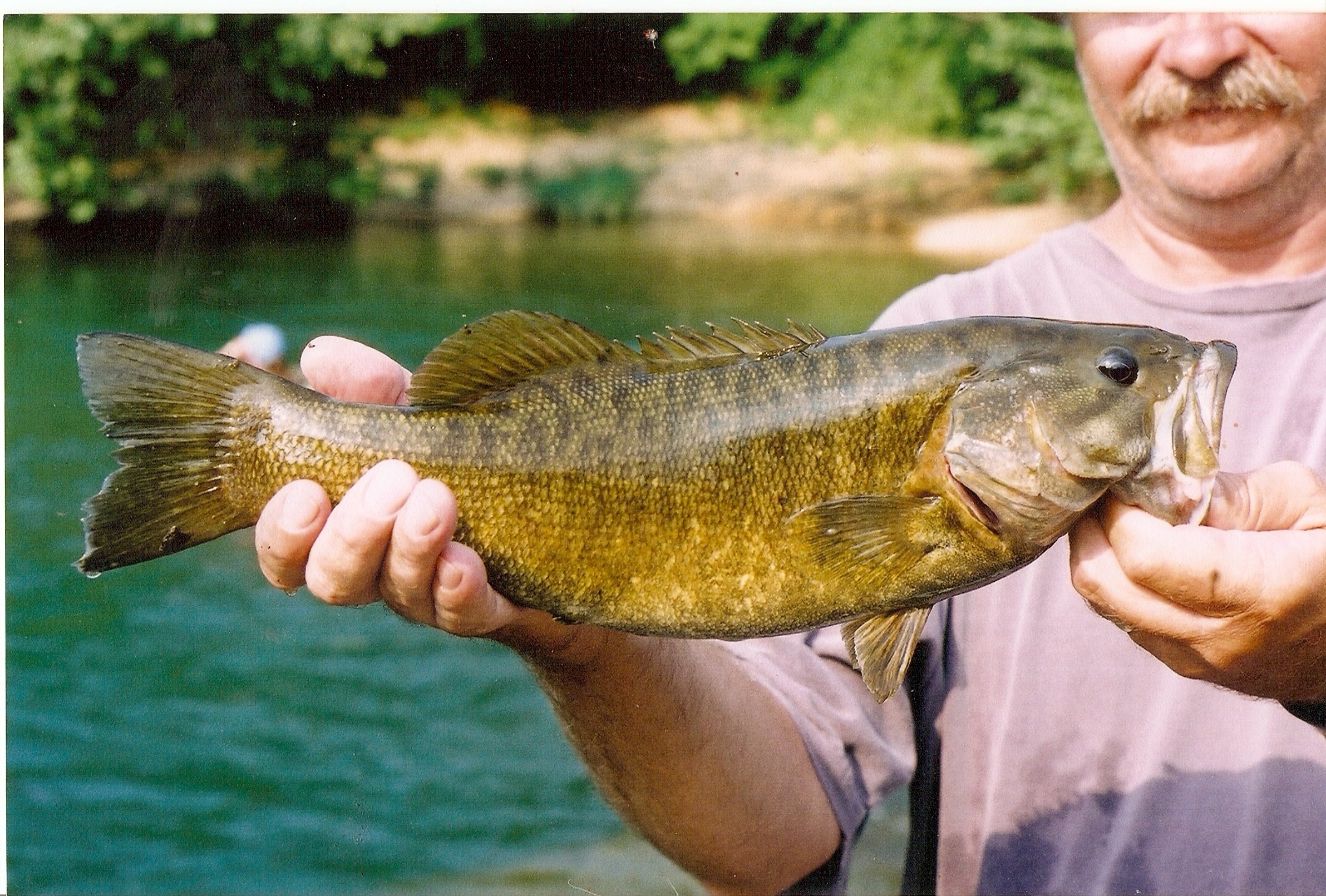 scan0025.jpg