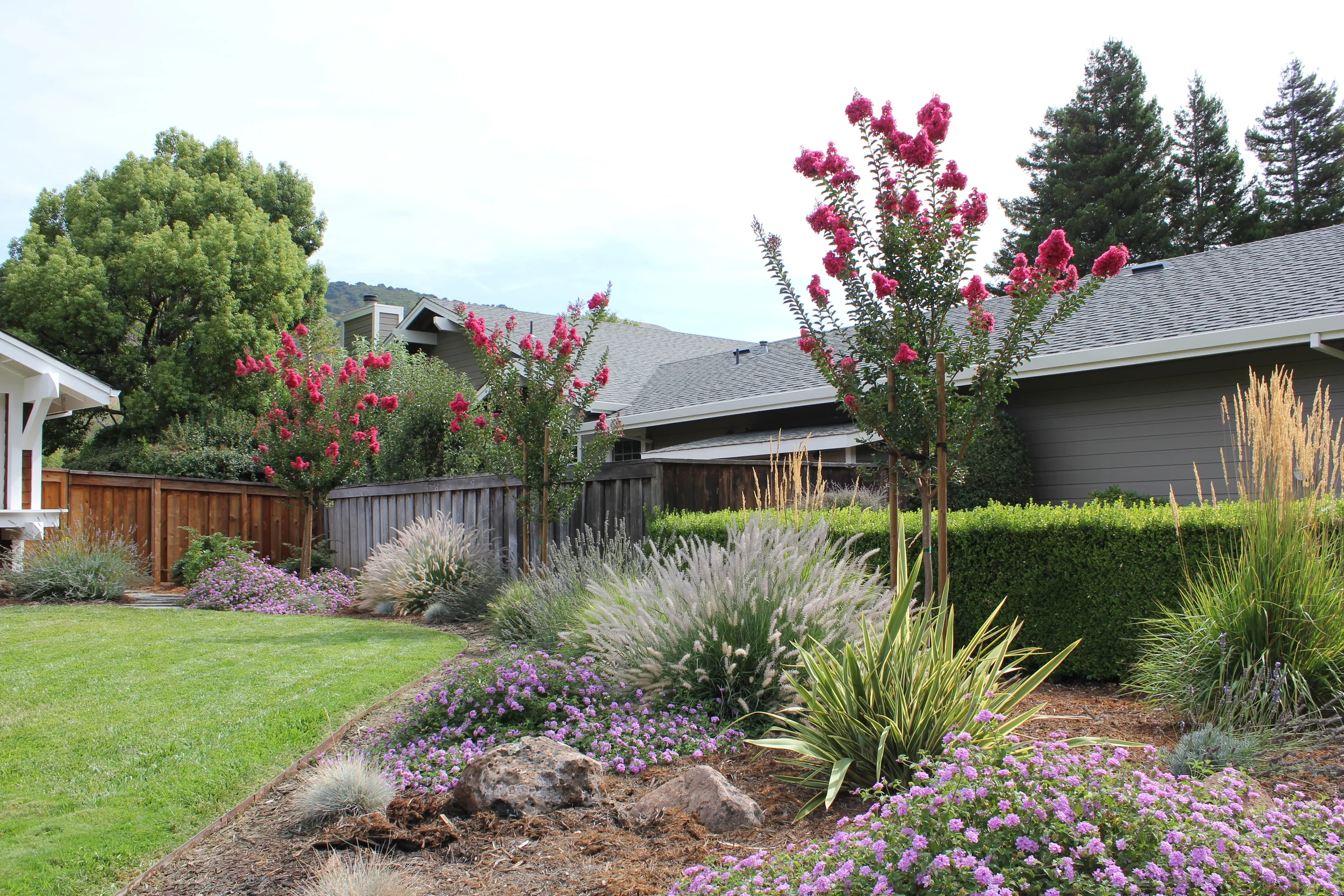 Mast one year (1).JPG