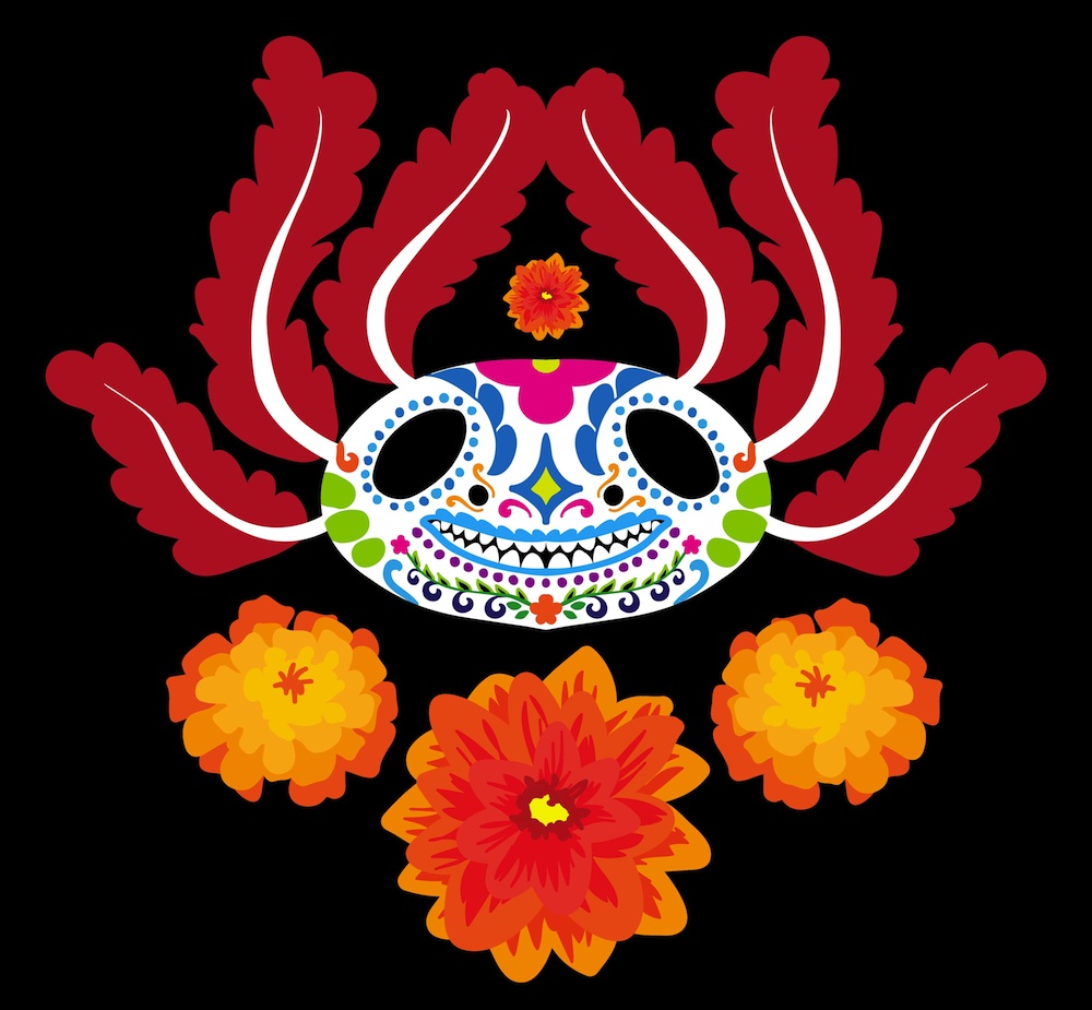In the tradition of Dia de los Muertos, marigolds are a flower left at altars for the deceased and entrances to graveyards. The Dahlia is also significant for Mexican culture; in 1963 it was declared the national flower of Mexico.