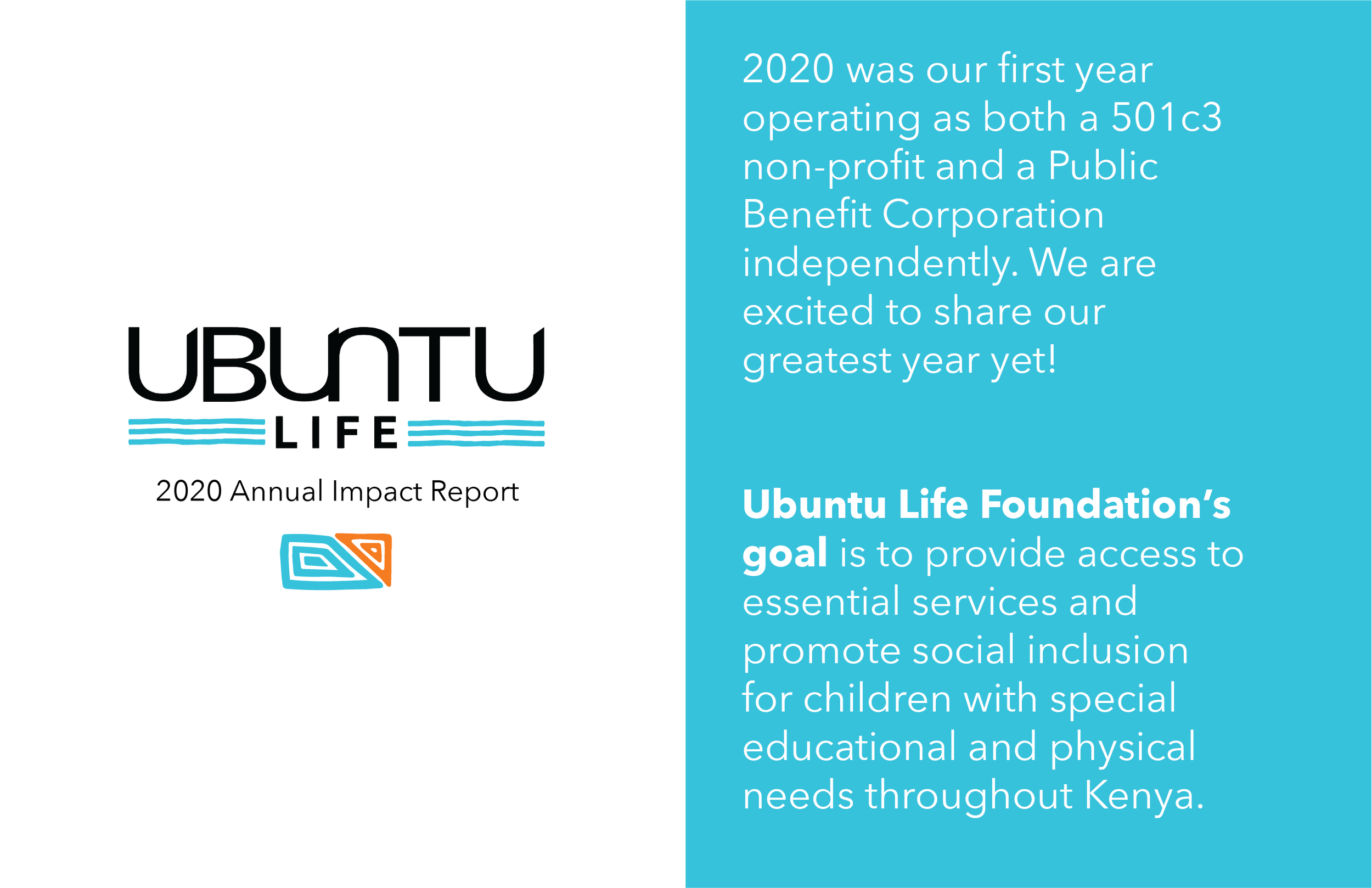 The 2020 Annual Report - 1.png