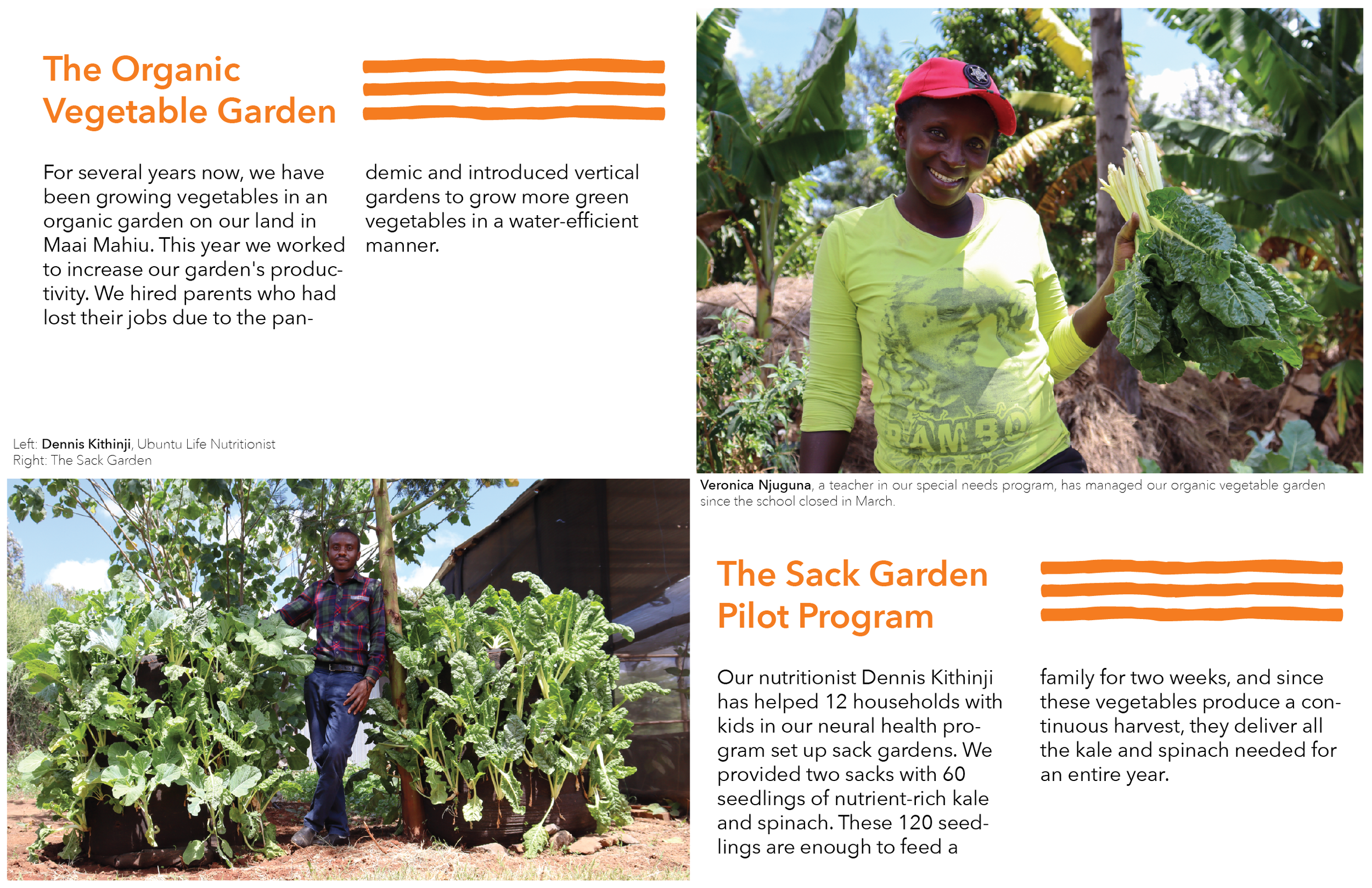 The 2020 Annual Report - 6.png