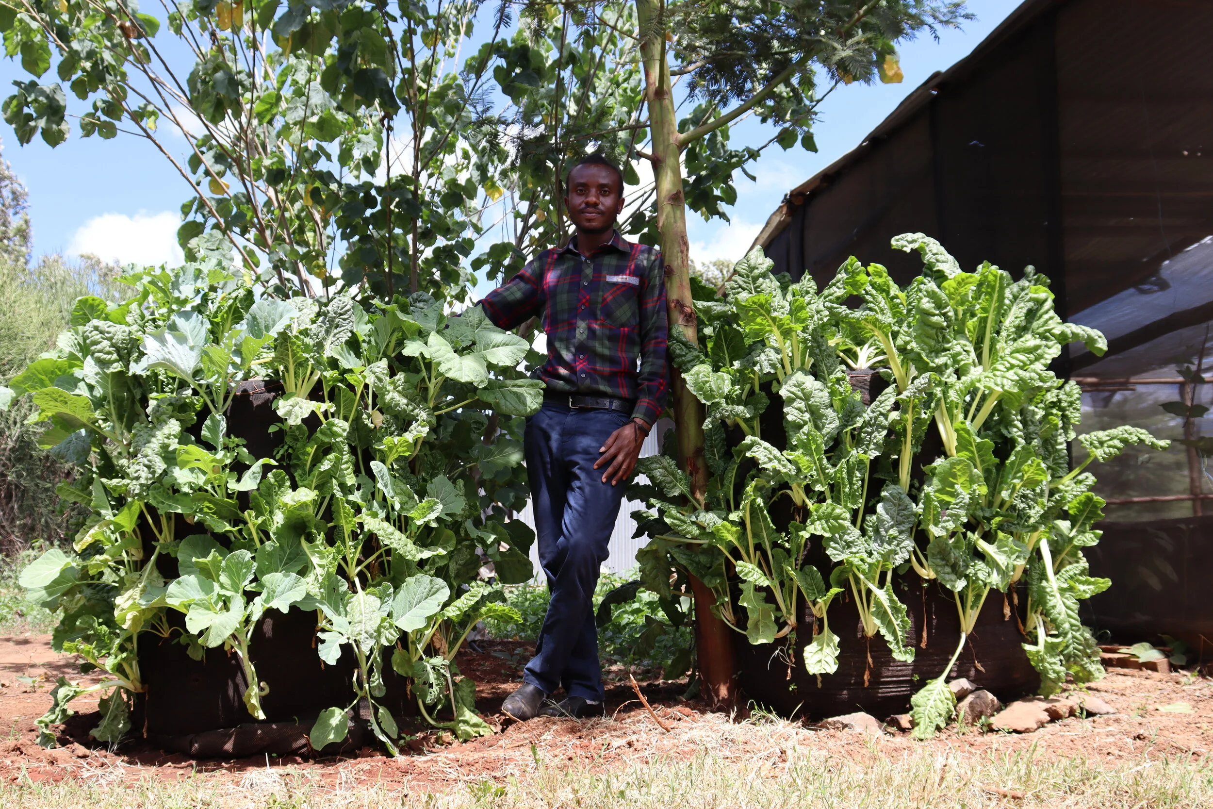 Ubuntu Life Foundation