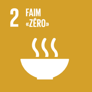 F_SDG-goals_icons-individual-cmyk-02-300x300.png