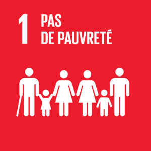 F_SDG-goals_icons-individual-cmyk-01-300x300.png