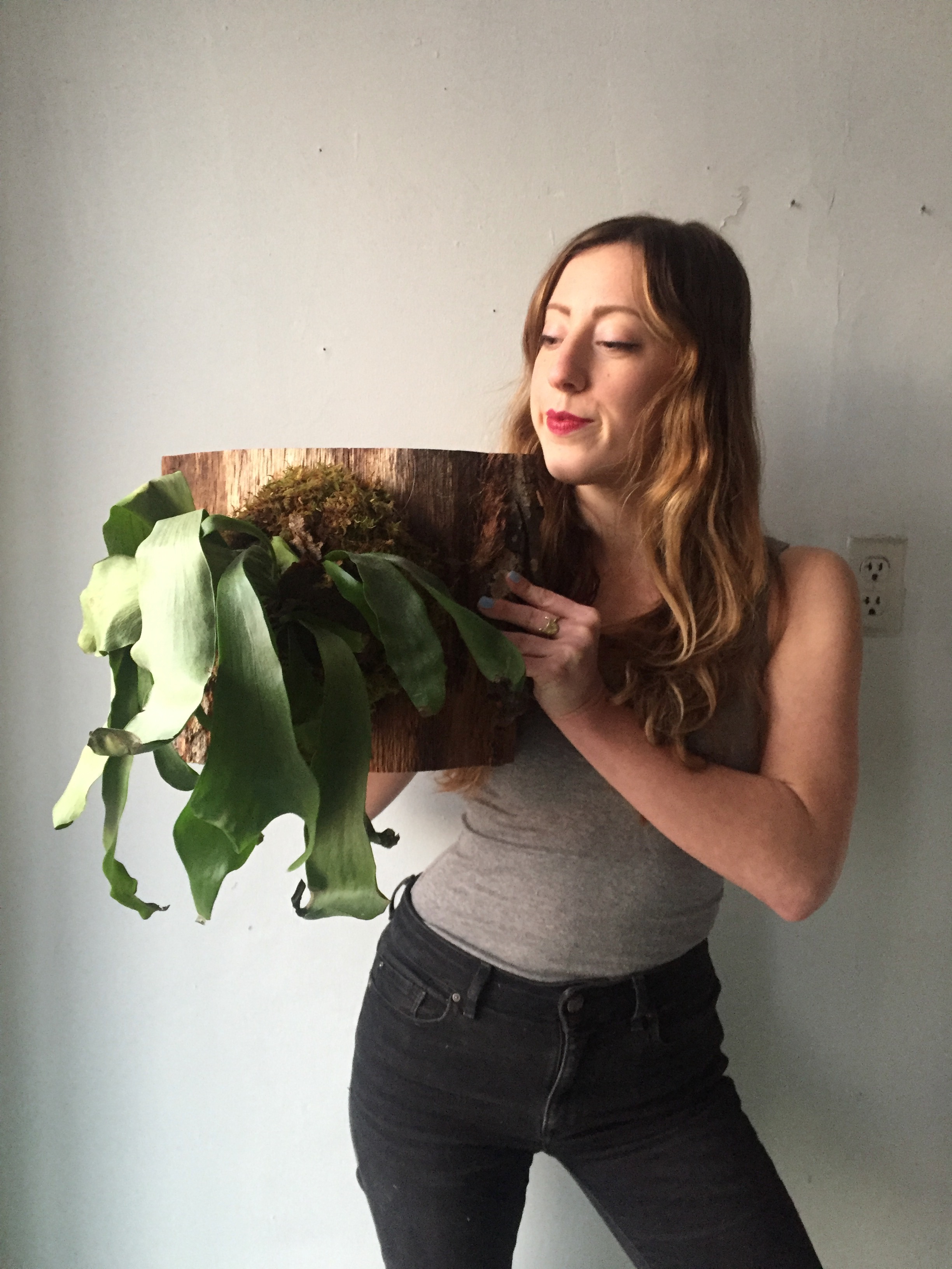 staghorn.jpeg