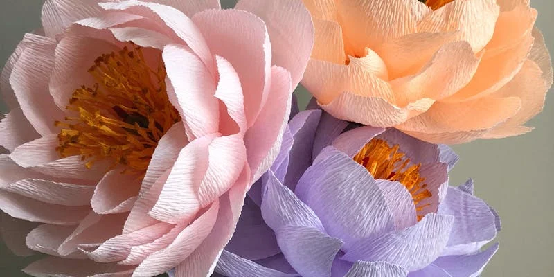 peonies.jpeg