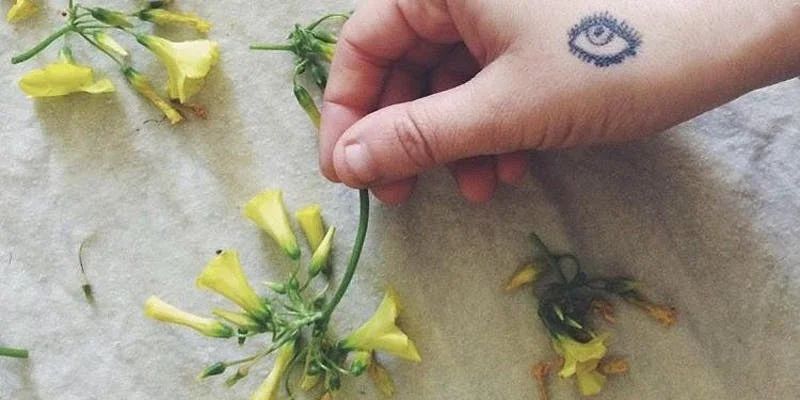 printing plants.jpeg