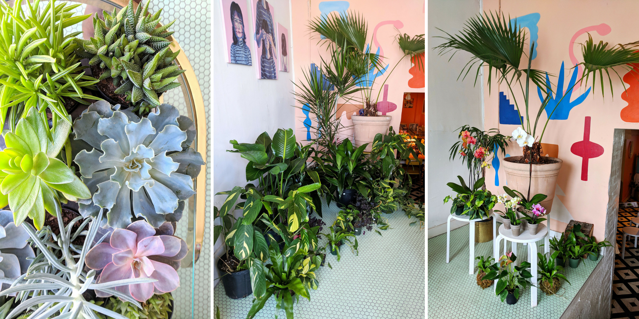 Plantswap Eventbrite - Rock Paper Plant.png
