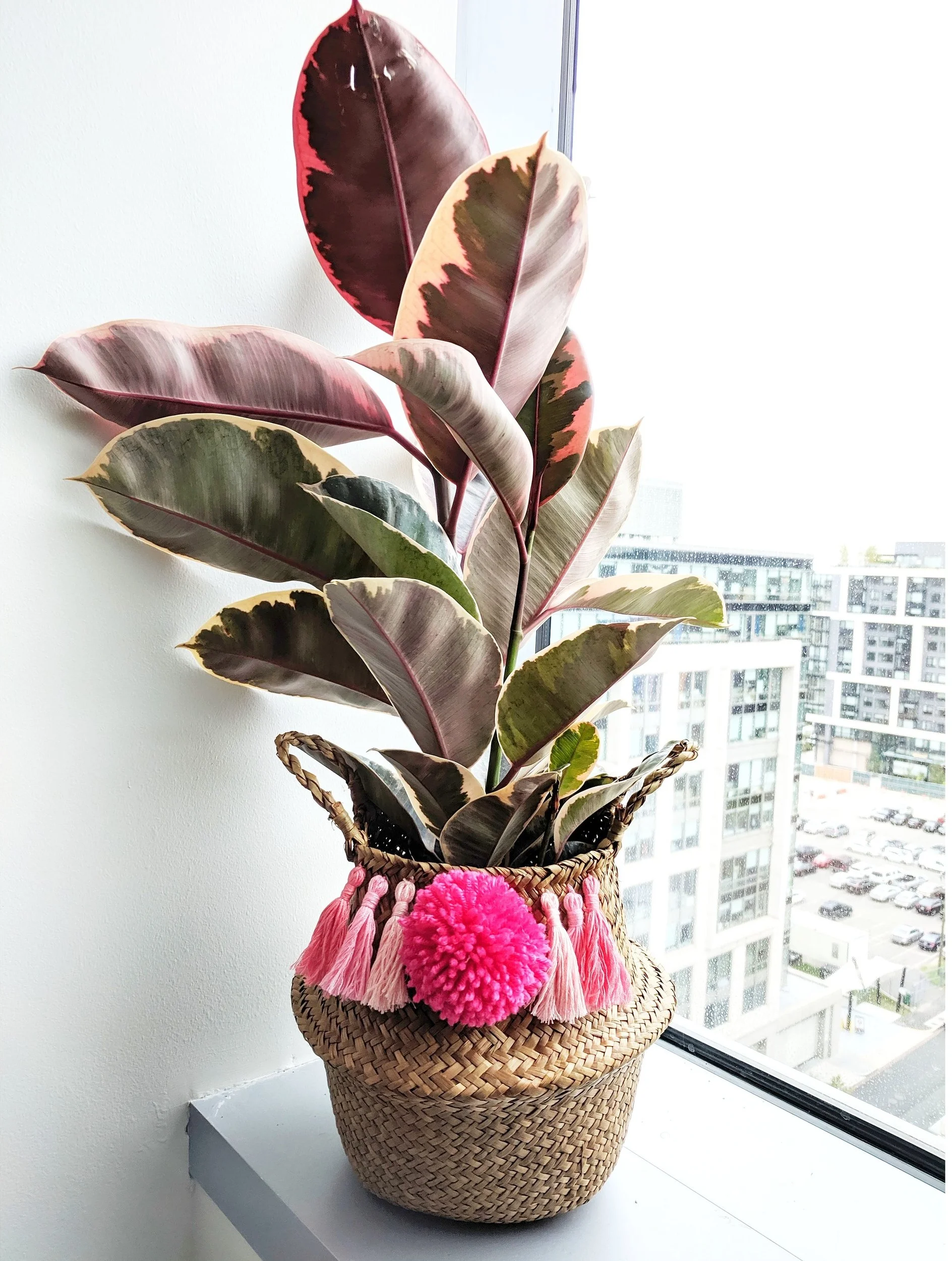20190828_101849.jpg
