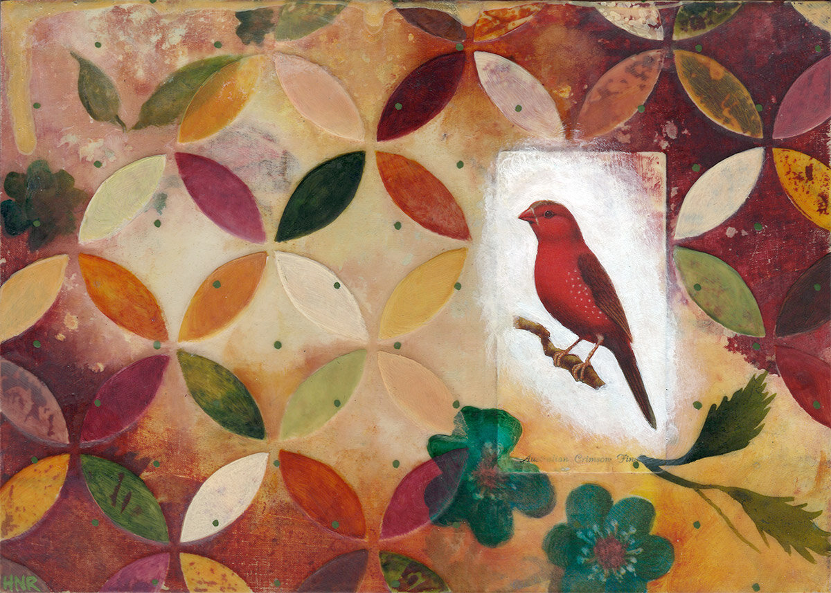 Australian Crimson Finch - sold