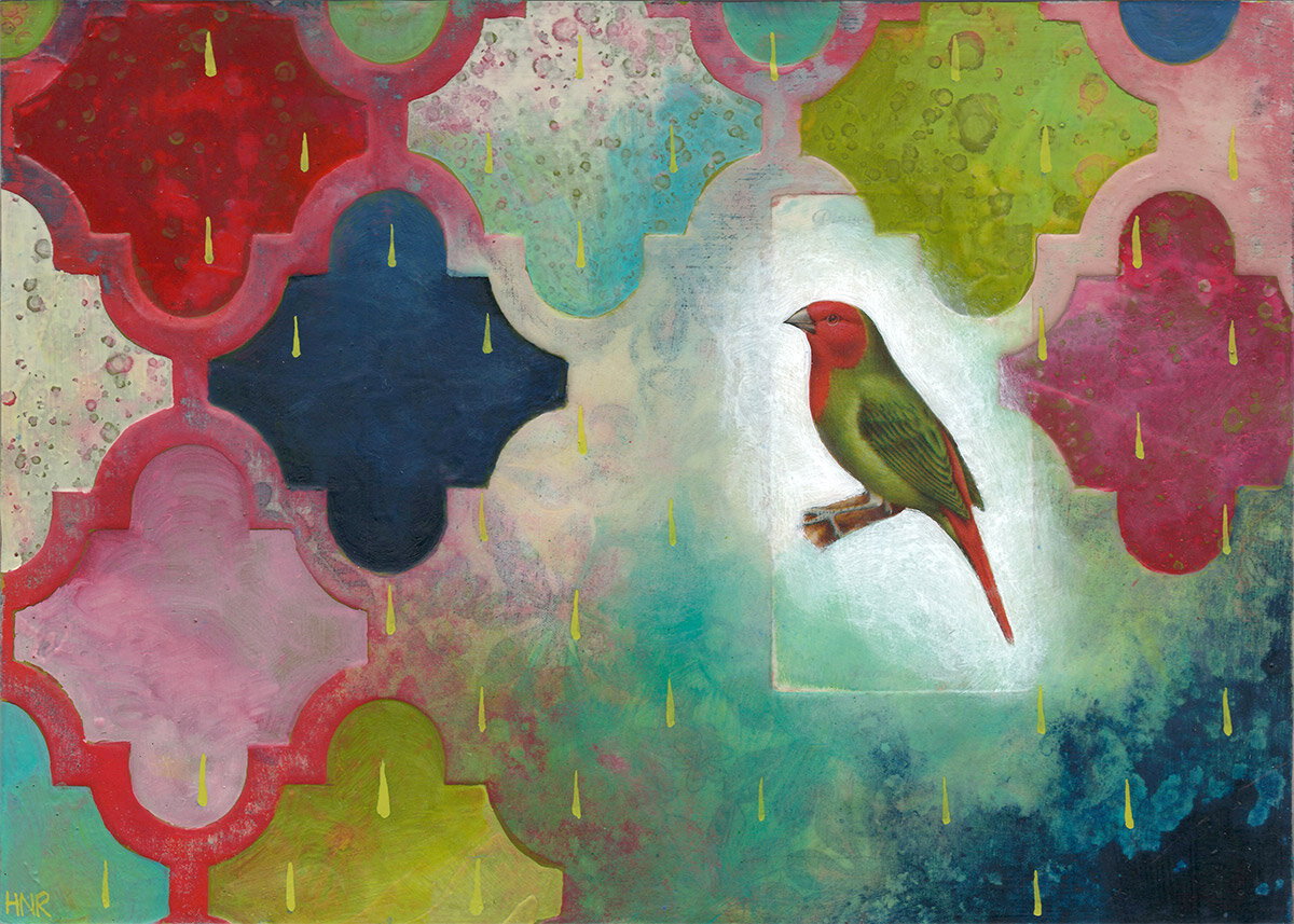 Parrot Finch - sold