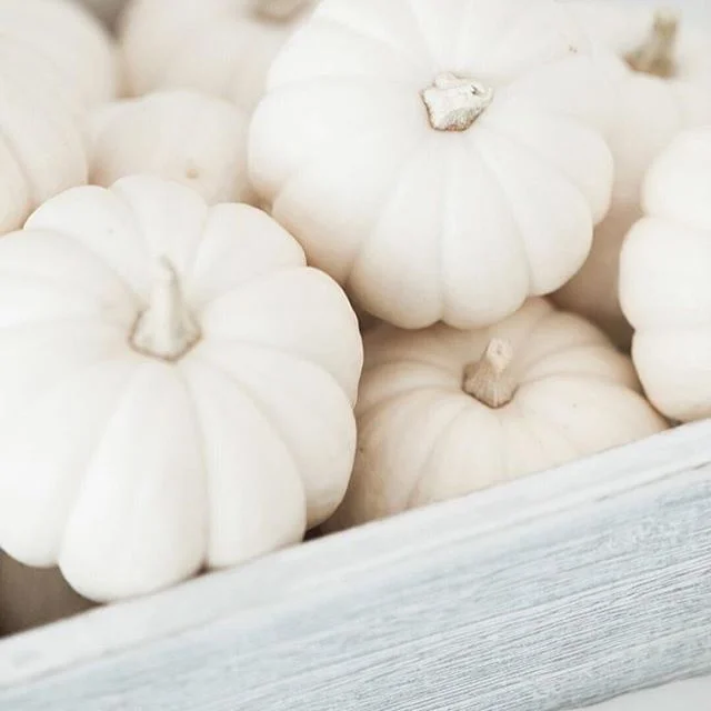Mini white pumpkins...Yes, please! Happy Friday everyone and enjoy the beautiful weekend! xo #droletpaperie #falldecor #itsallinthedetails