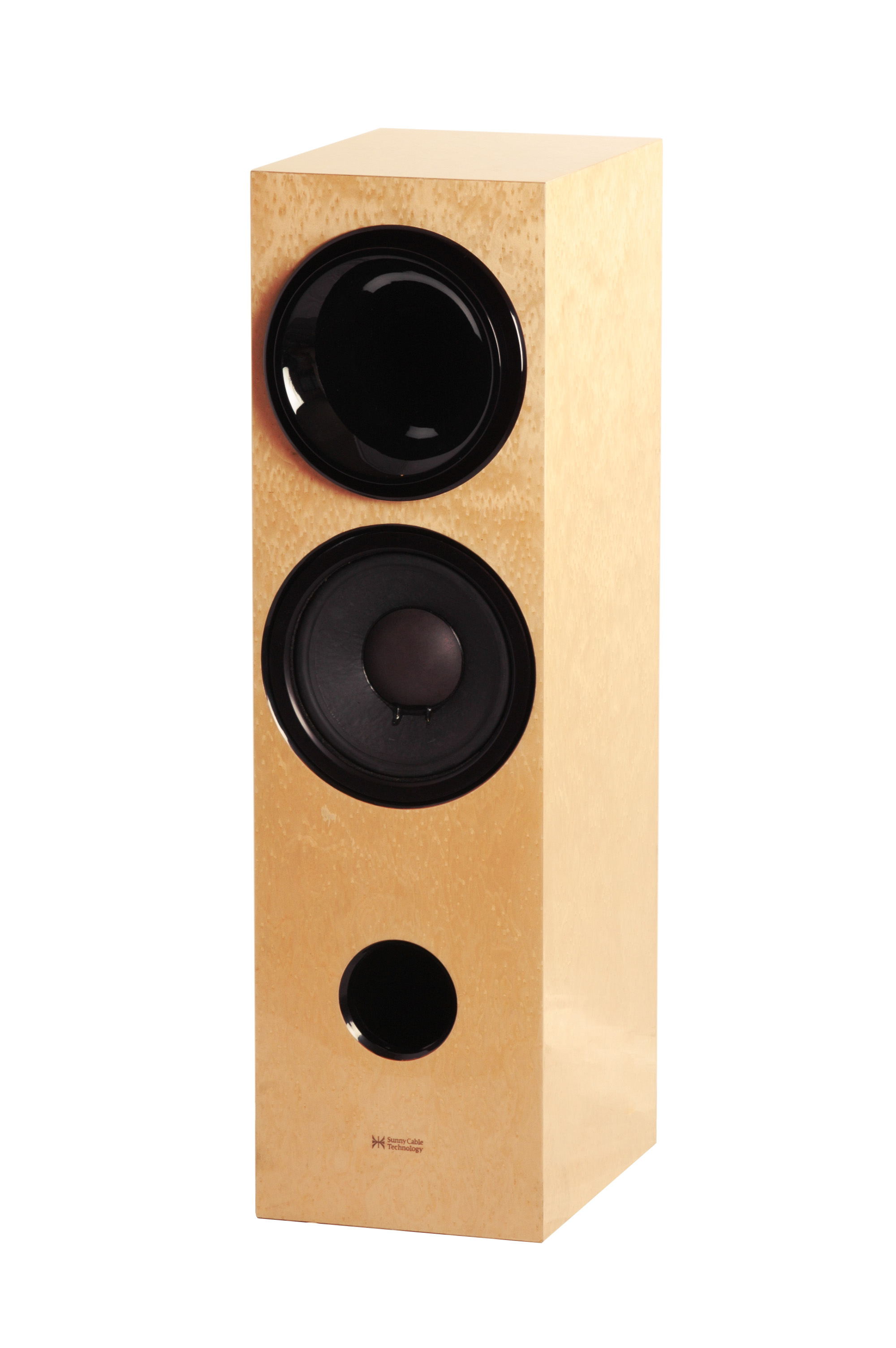 Sunny Cable Technology H2W10 Loudspeaker