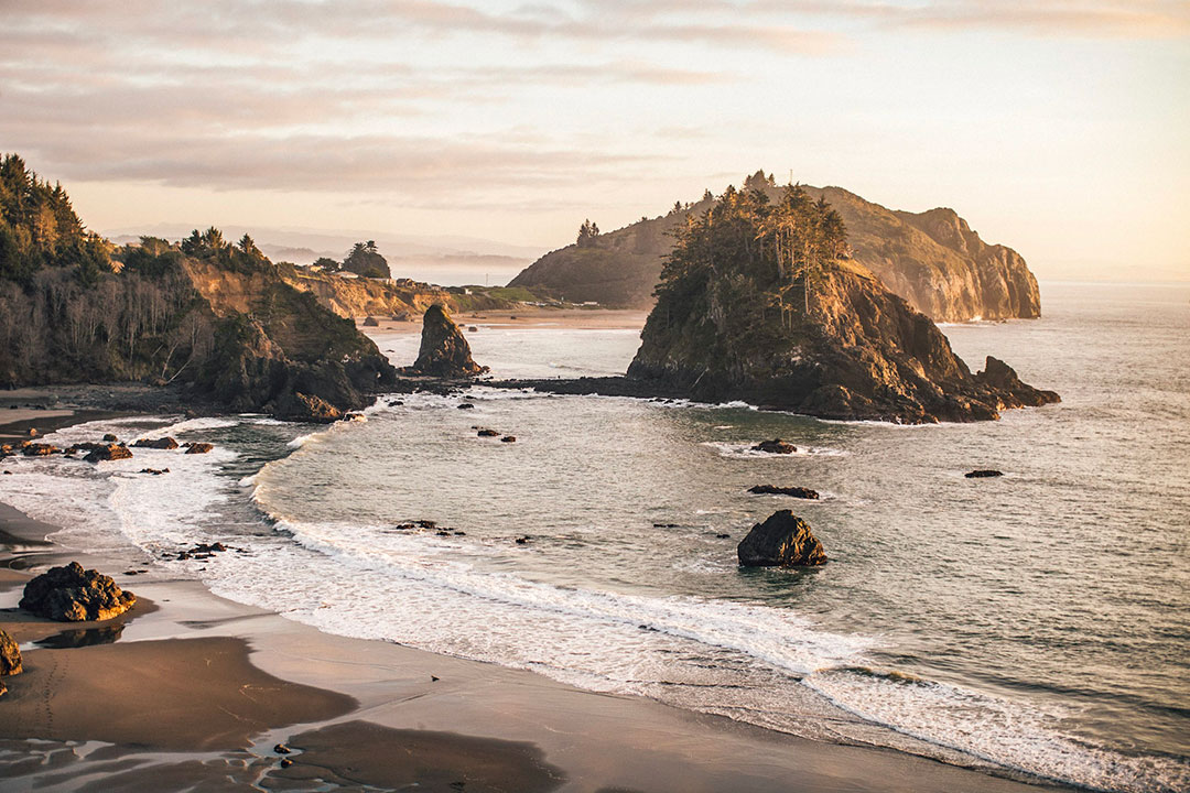 College Cove Glow #1