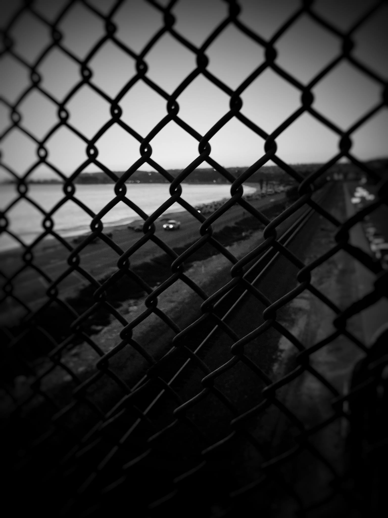 fence_1.jpg