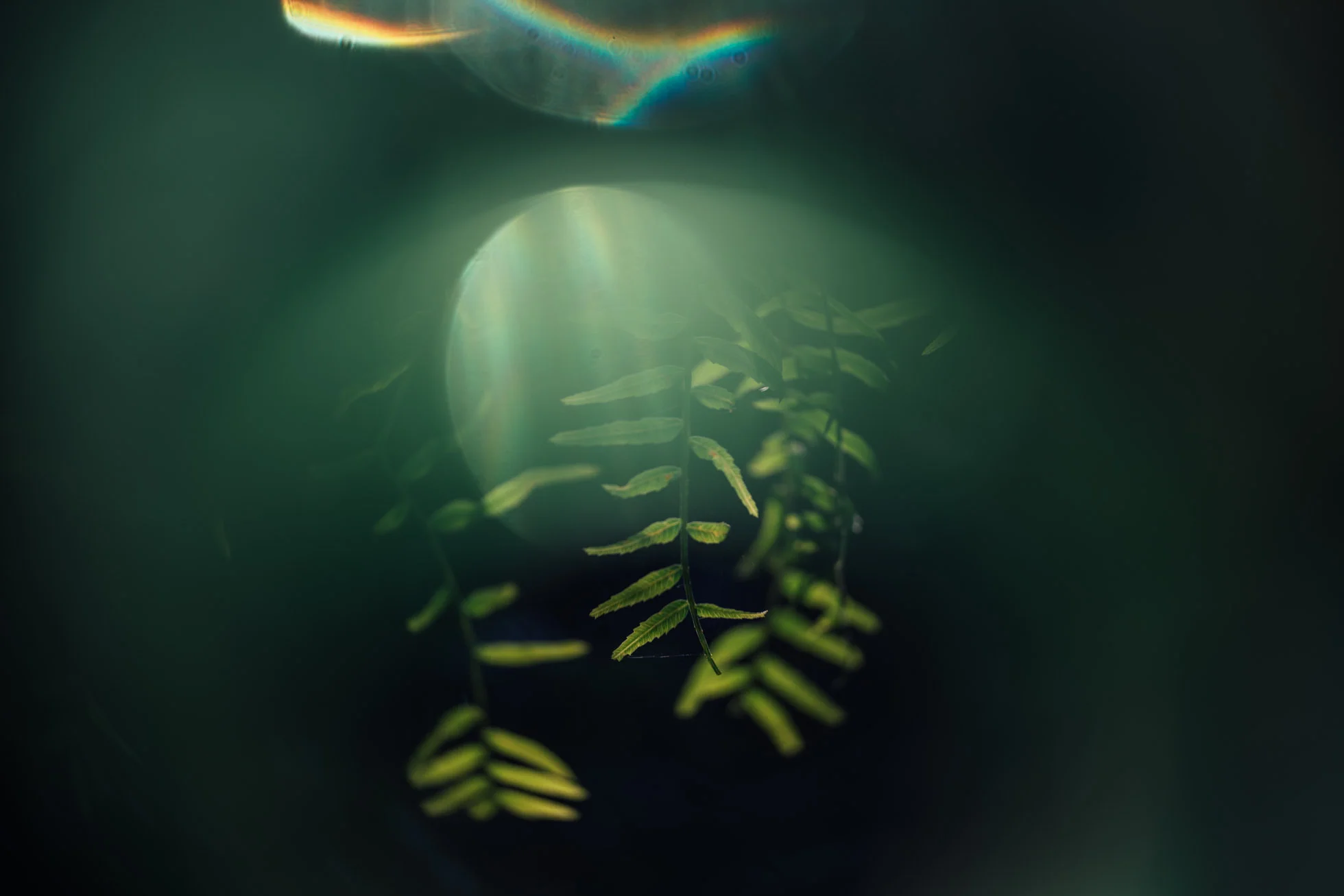 untitled-34.jpg