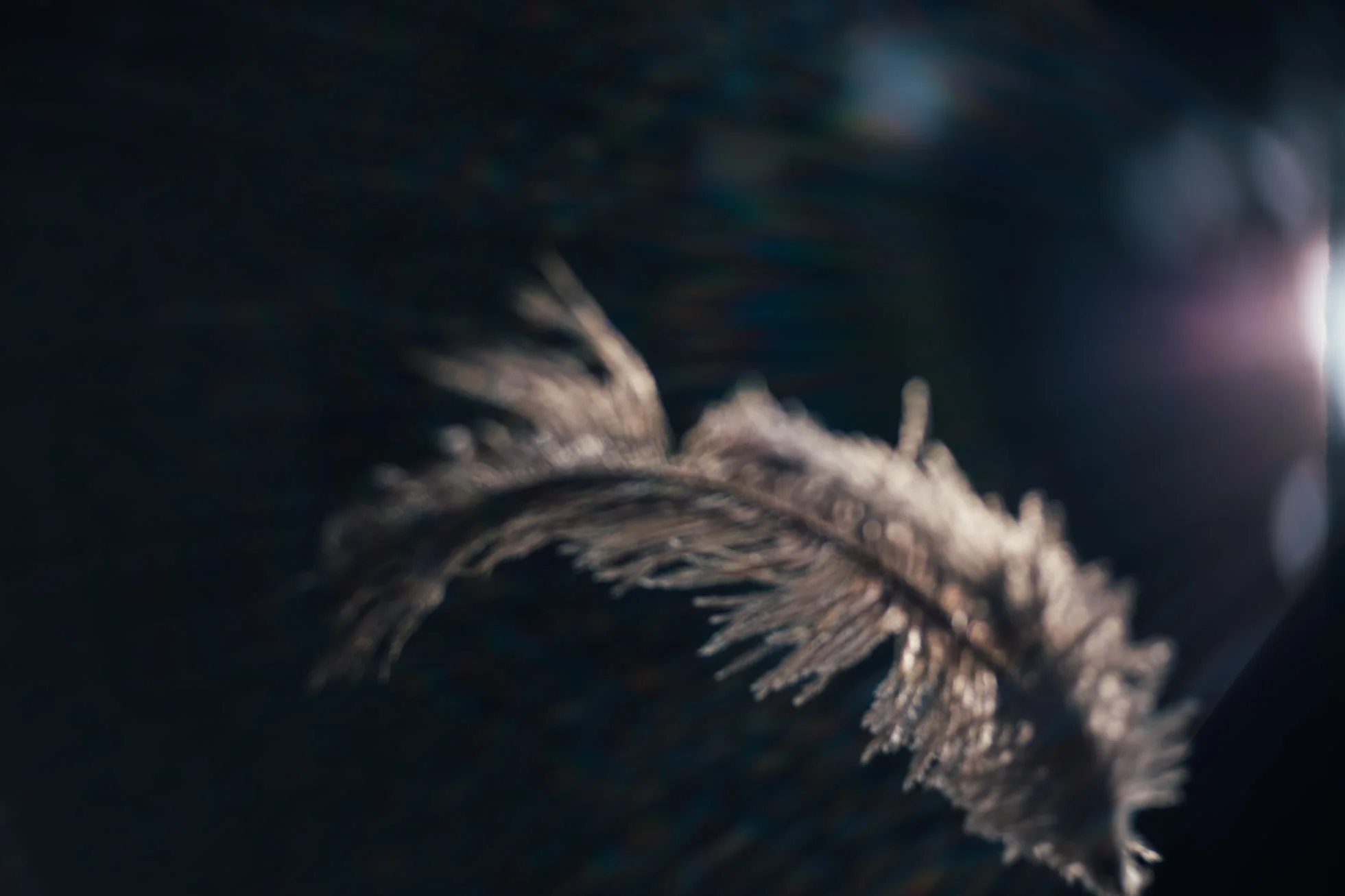 untitled-198.jpg