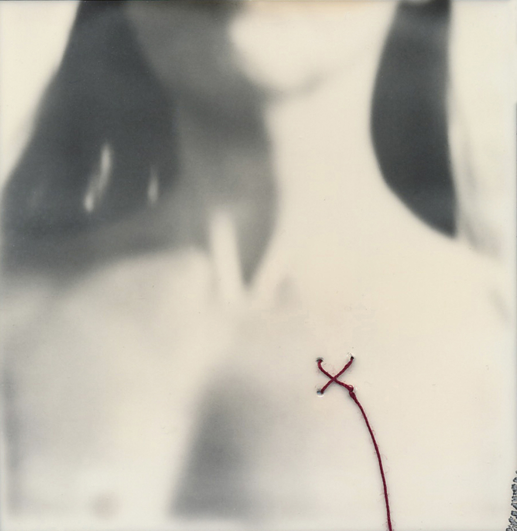09Catherine Just -the stitched heart.jpg