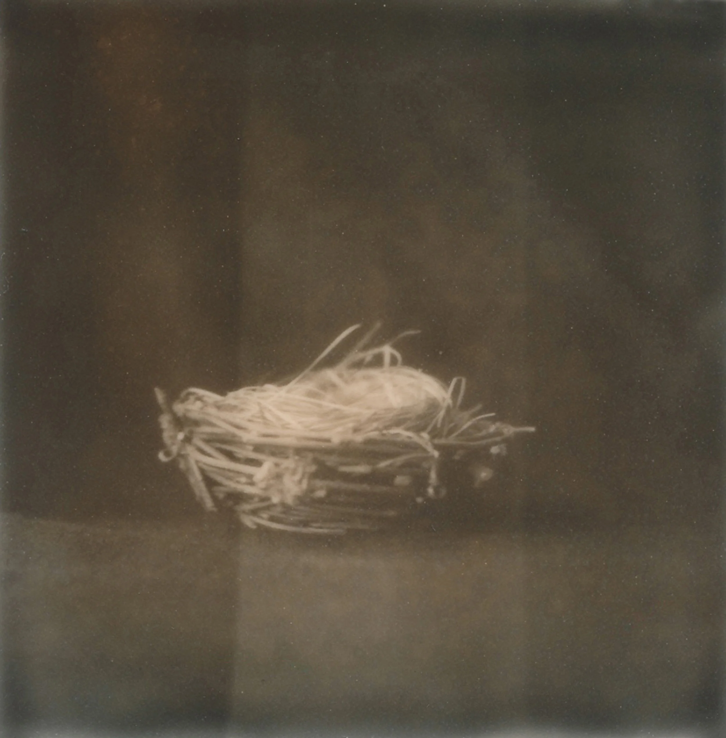nest.jpg