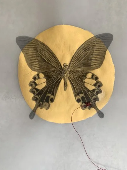 IridescentButterfly01.jpg