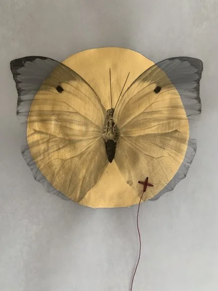 IridescentButterfly02.jpg