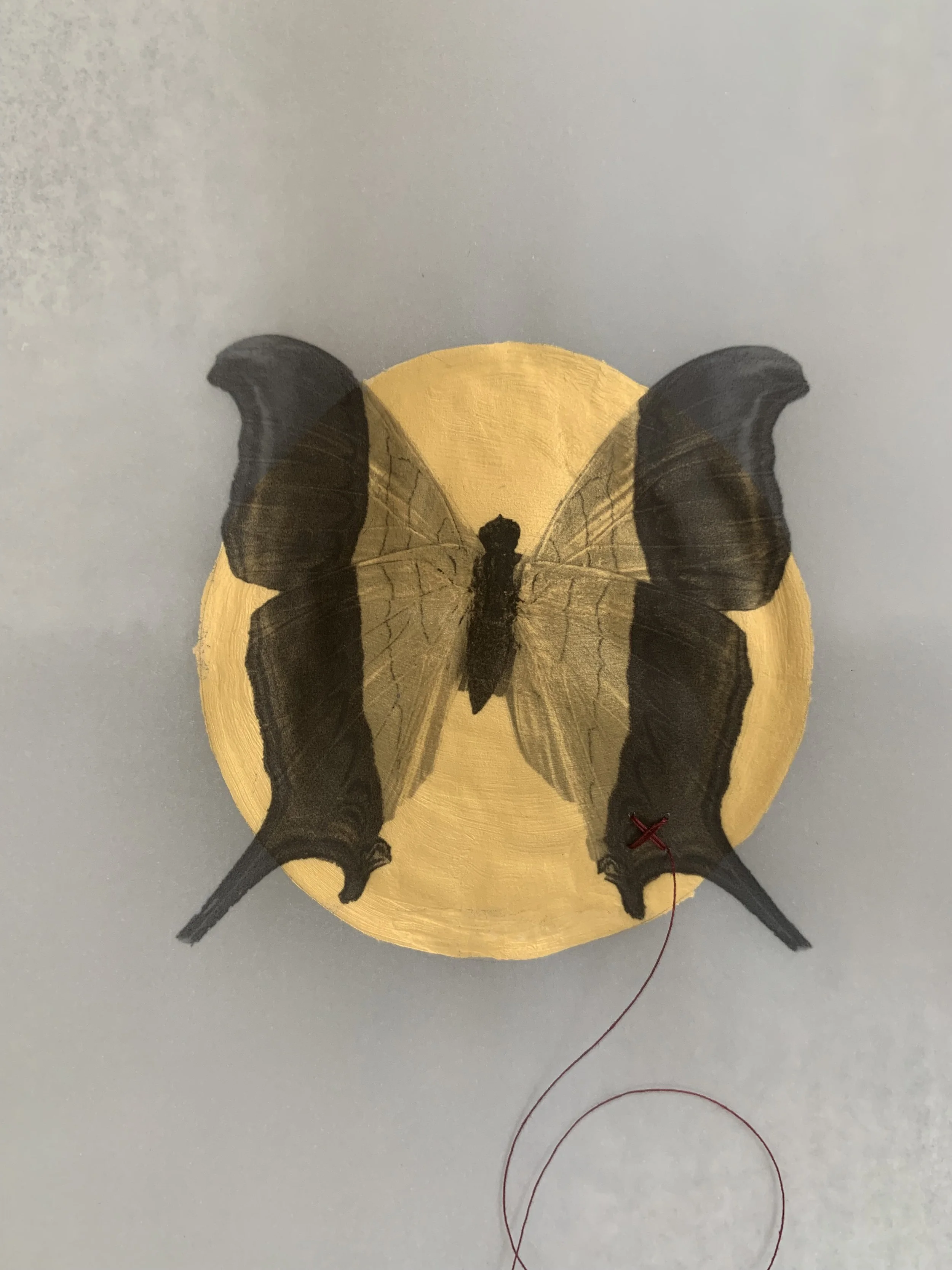IridescentButterfly07.jpg