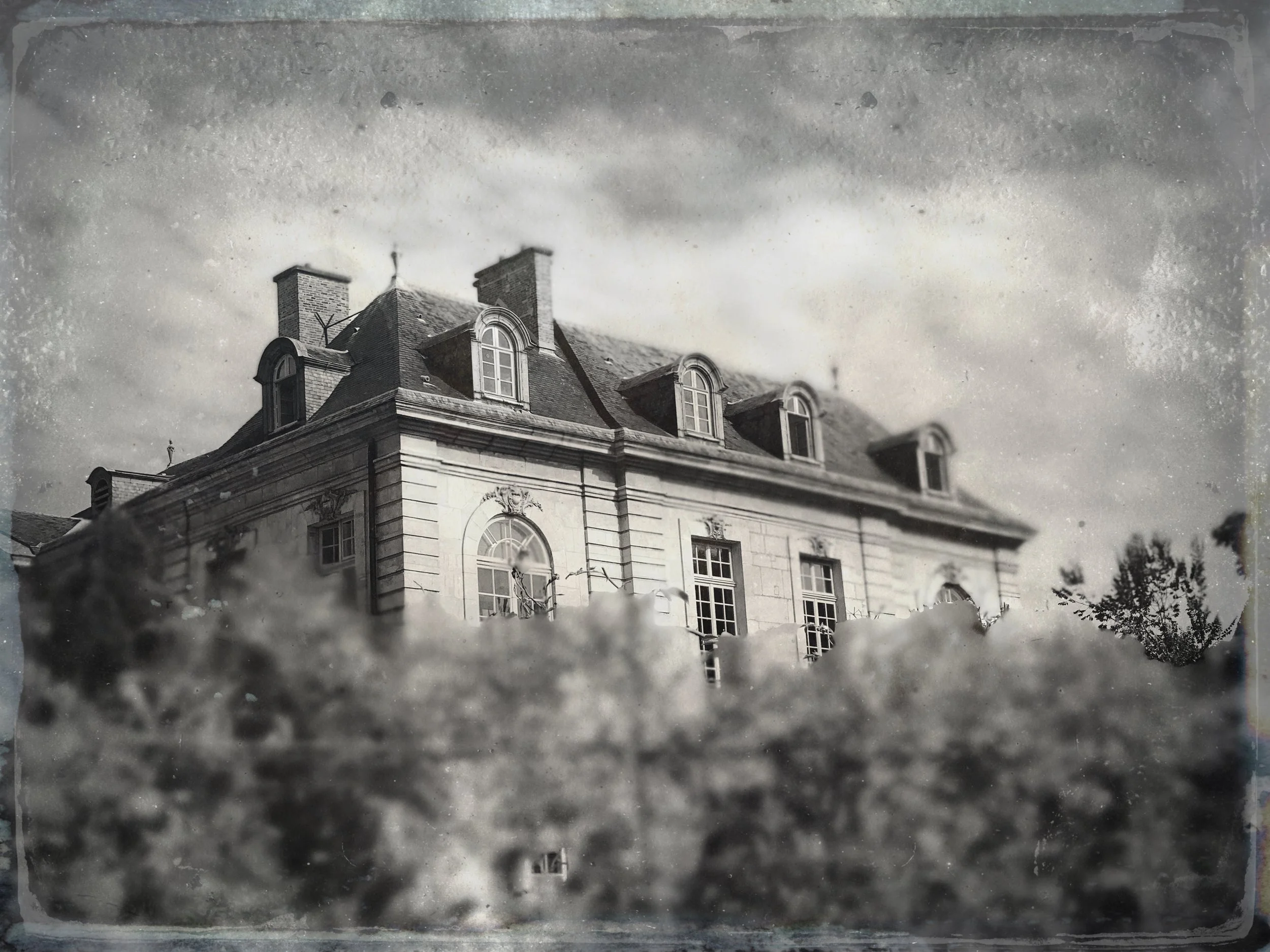 TTInputImage-677606252.207978.jpg