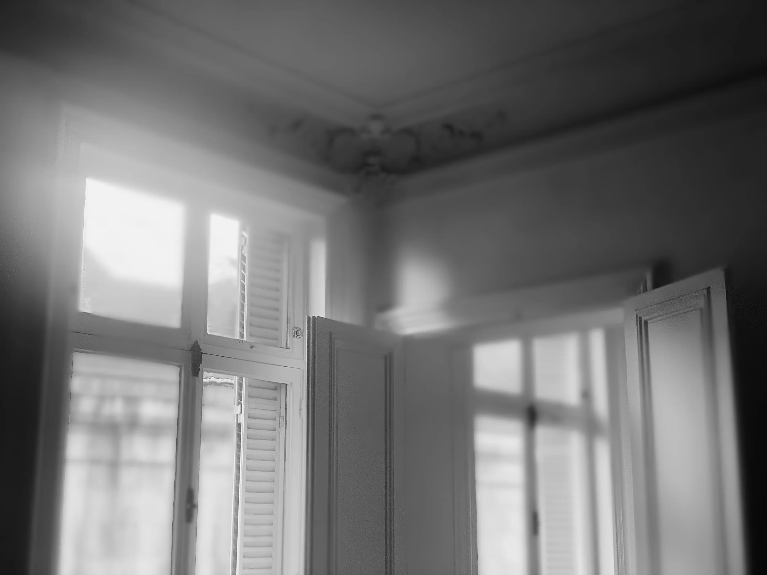 TTInputImage-676748276.647029.jpg