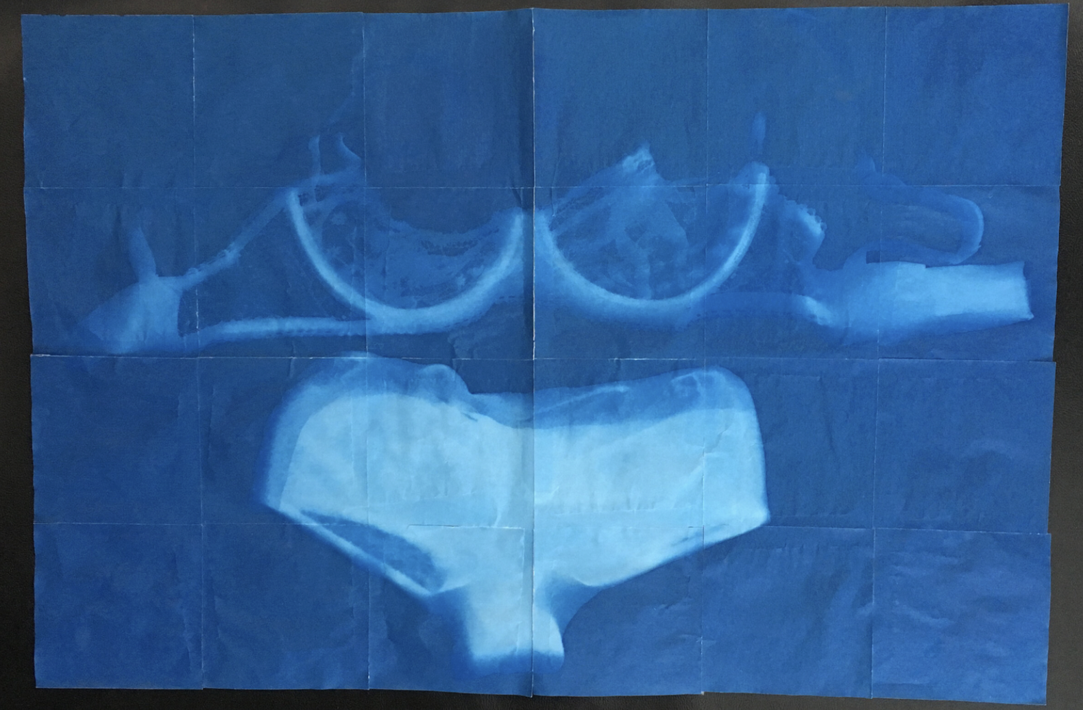 Screen Shot 2022-12-20 at 8.21.46 AM.png