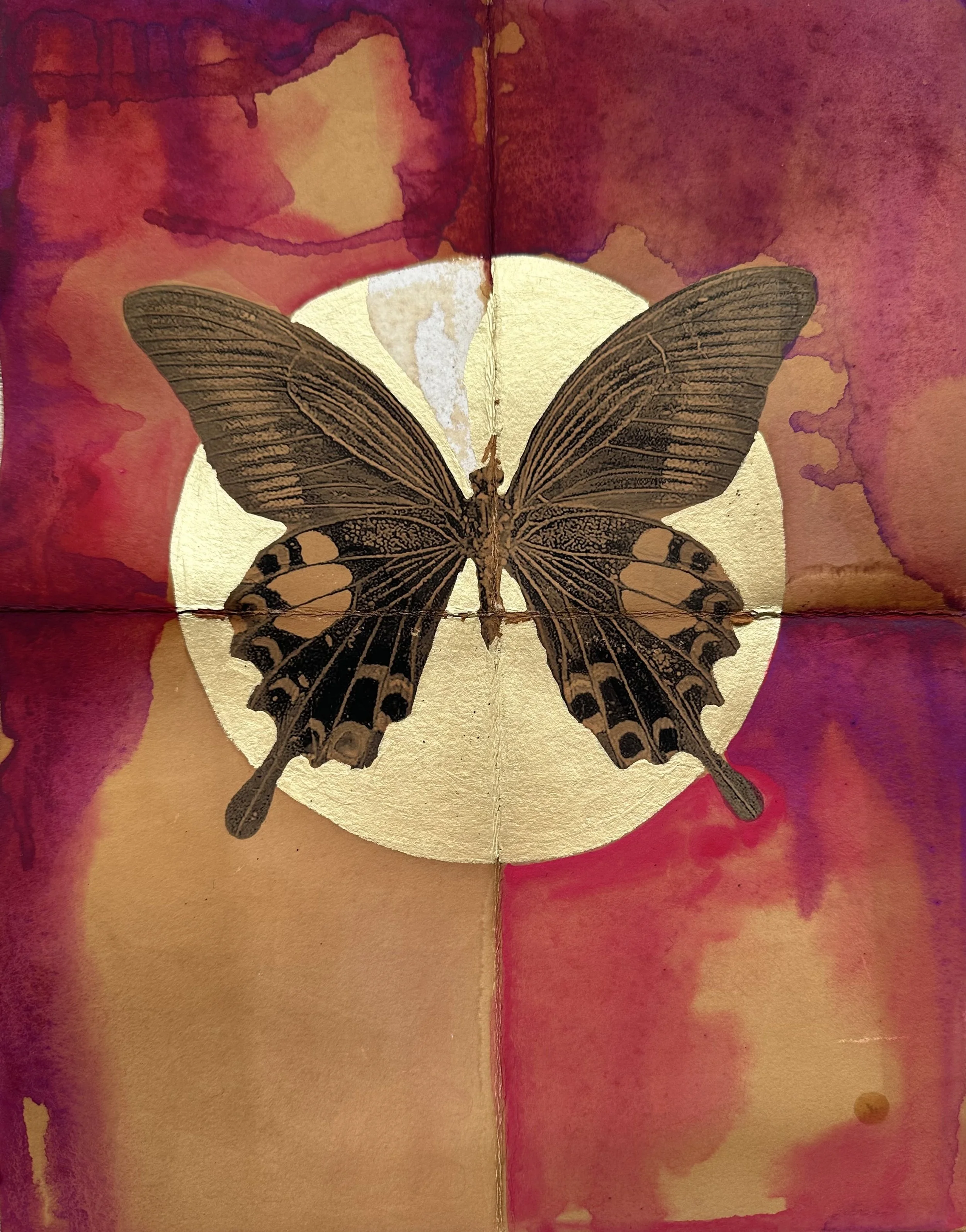 05_Butterfly Medicine sunset.jpg