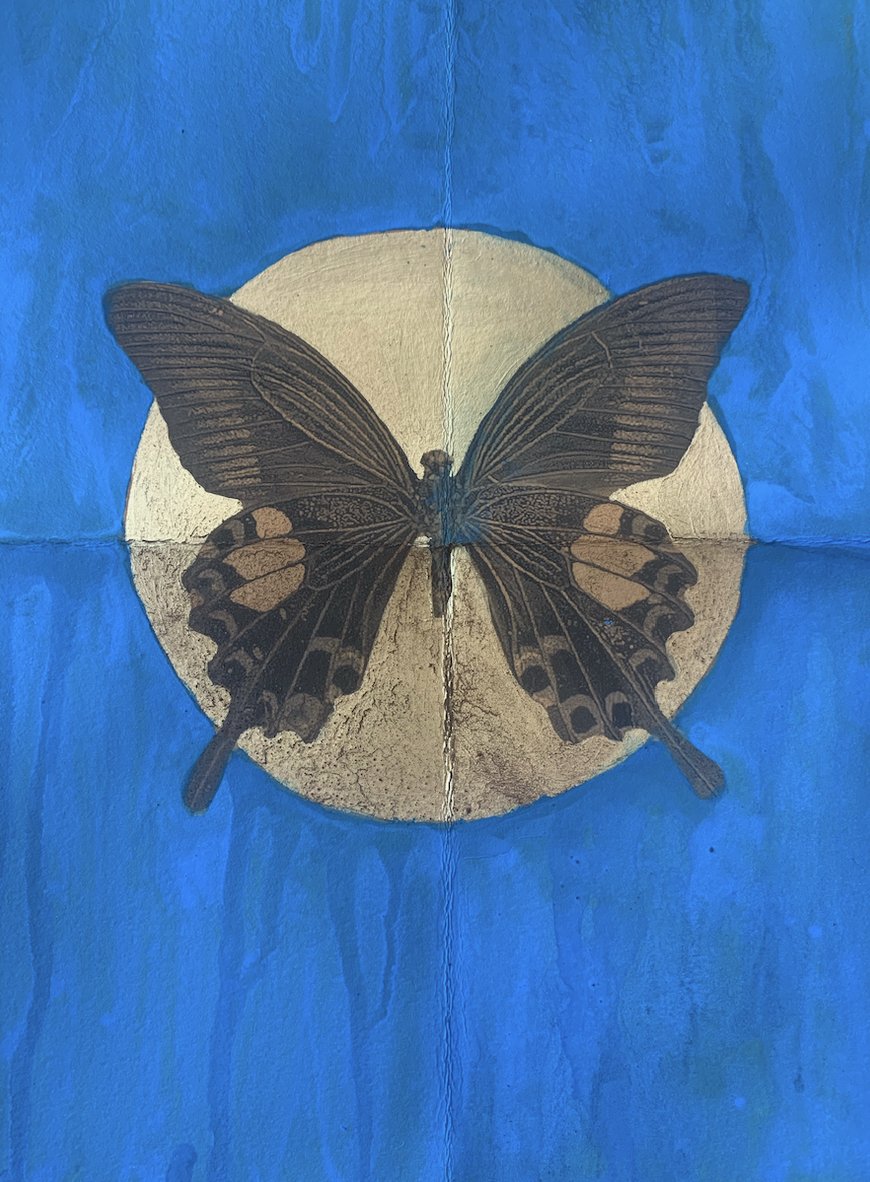 02_Butterfly Medicine in Blue with Gold_ Soaked in Espresso.jpg
