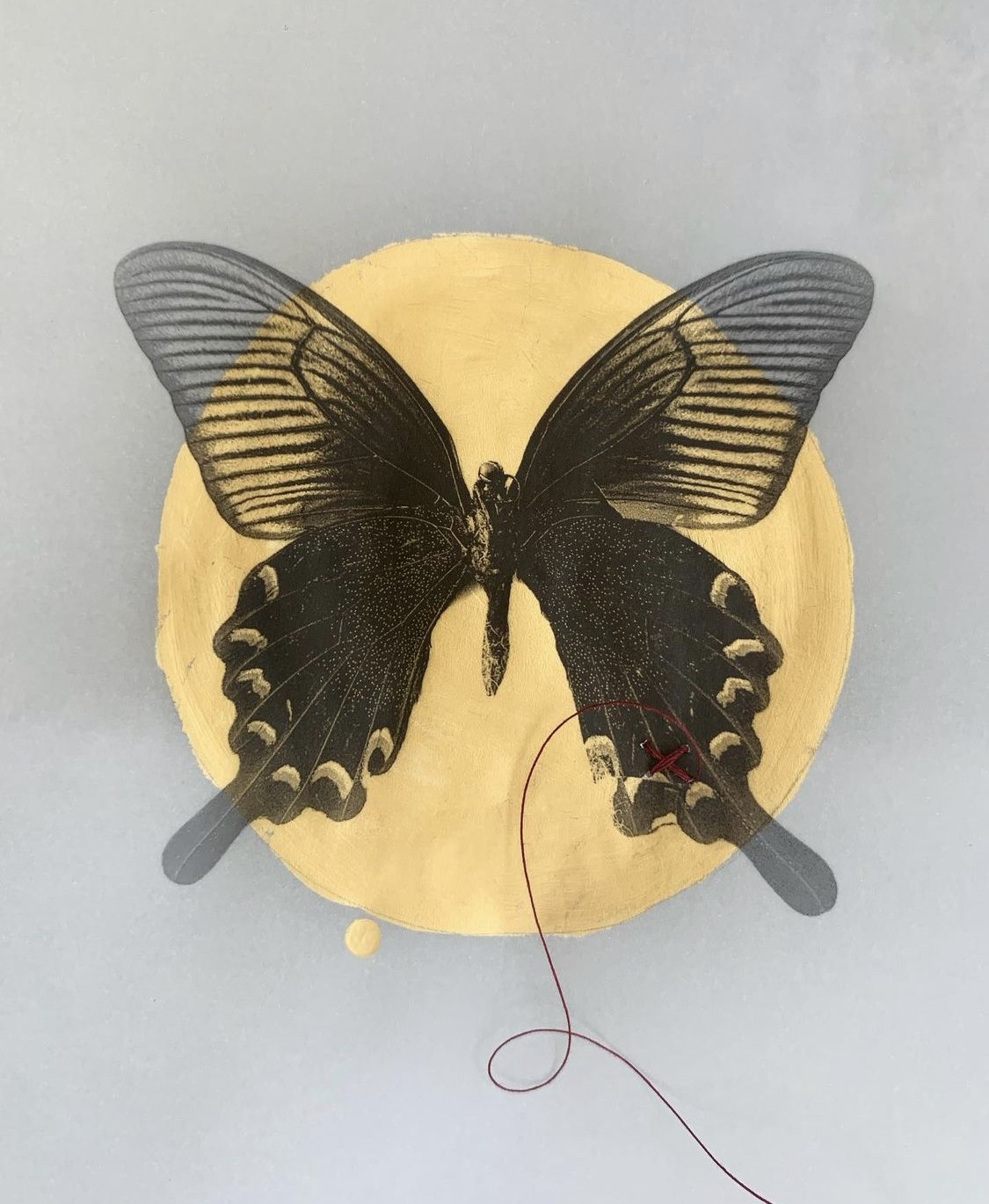 04_Butterfly with Mended Wing_Gold Leaf Gilding_Red Stitch_on Vellum.jpg