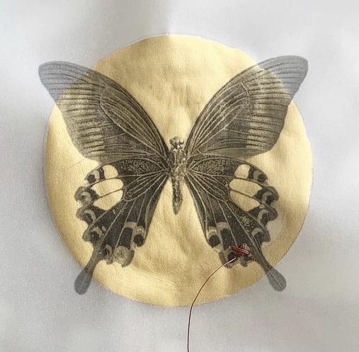 05_Butterfly with Mended Wing_Gold Leaf Gilding_Red Stitch_on VEllum .jpg