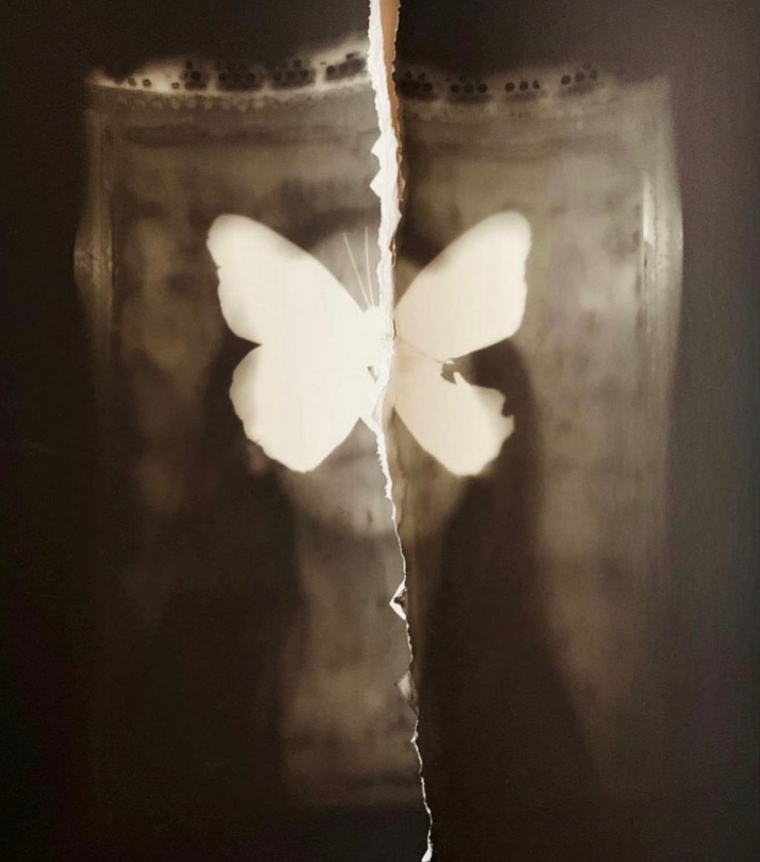 Torn