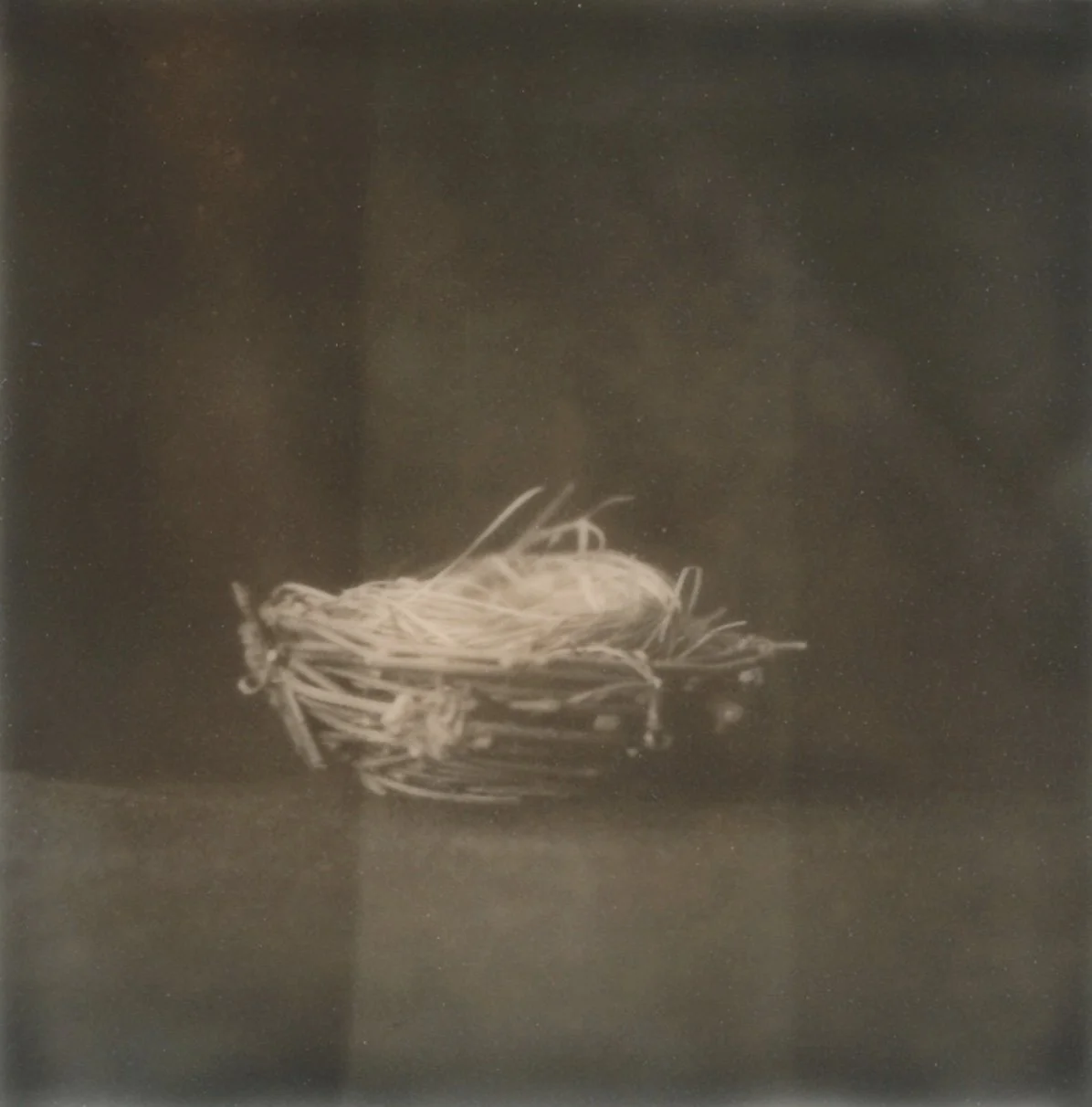 Nest.jpg