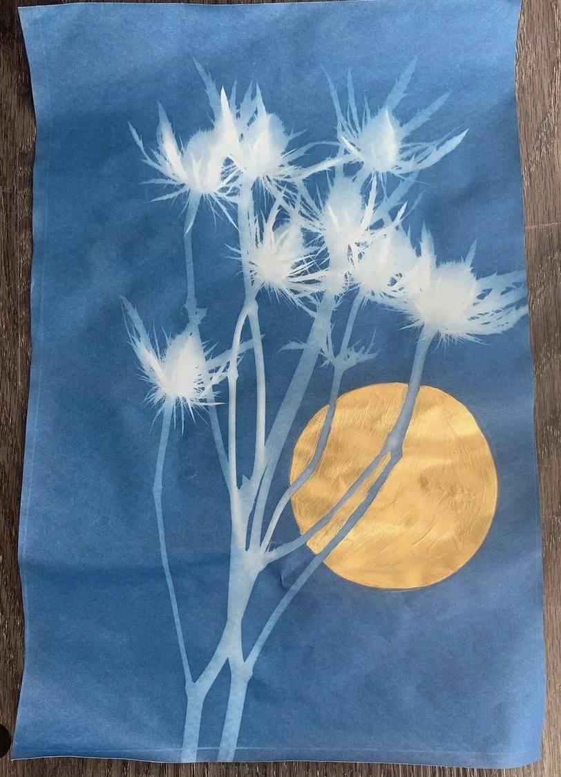 from the garden Cyanotype.jpg