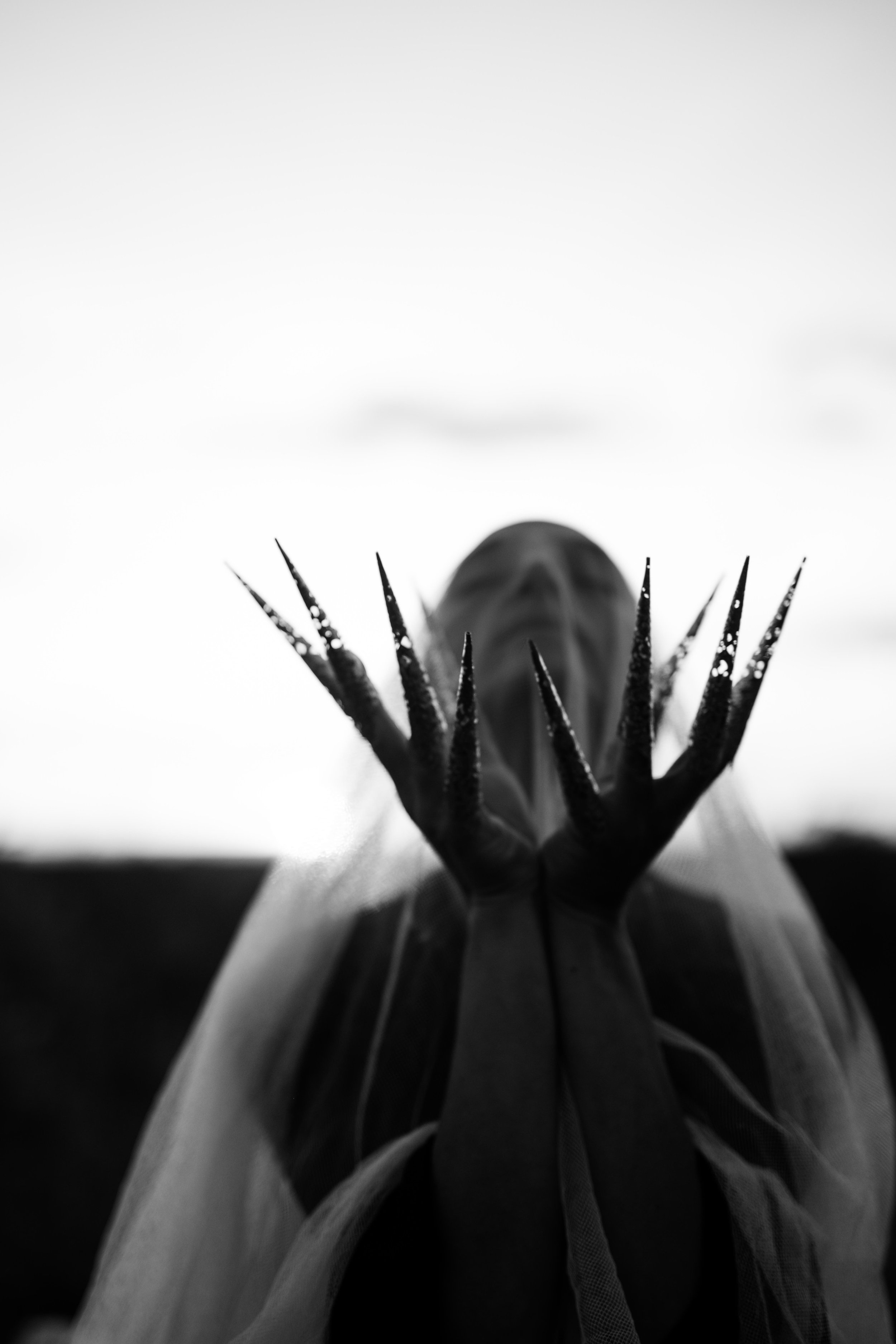 02.jpg
